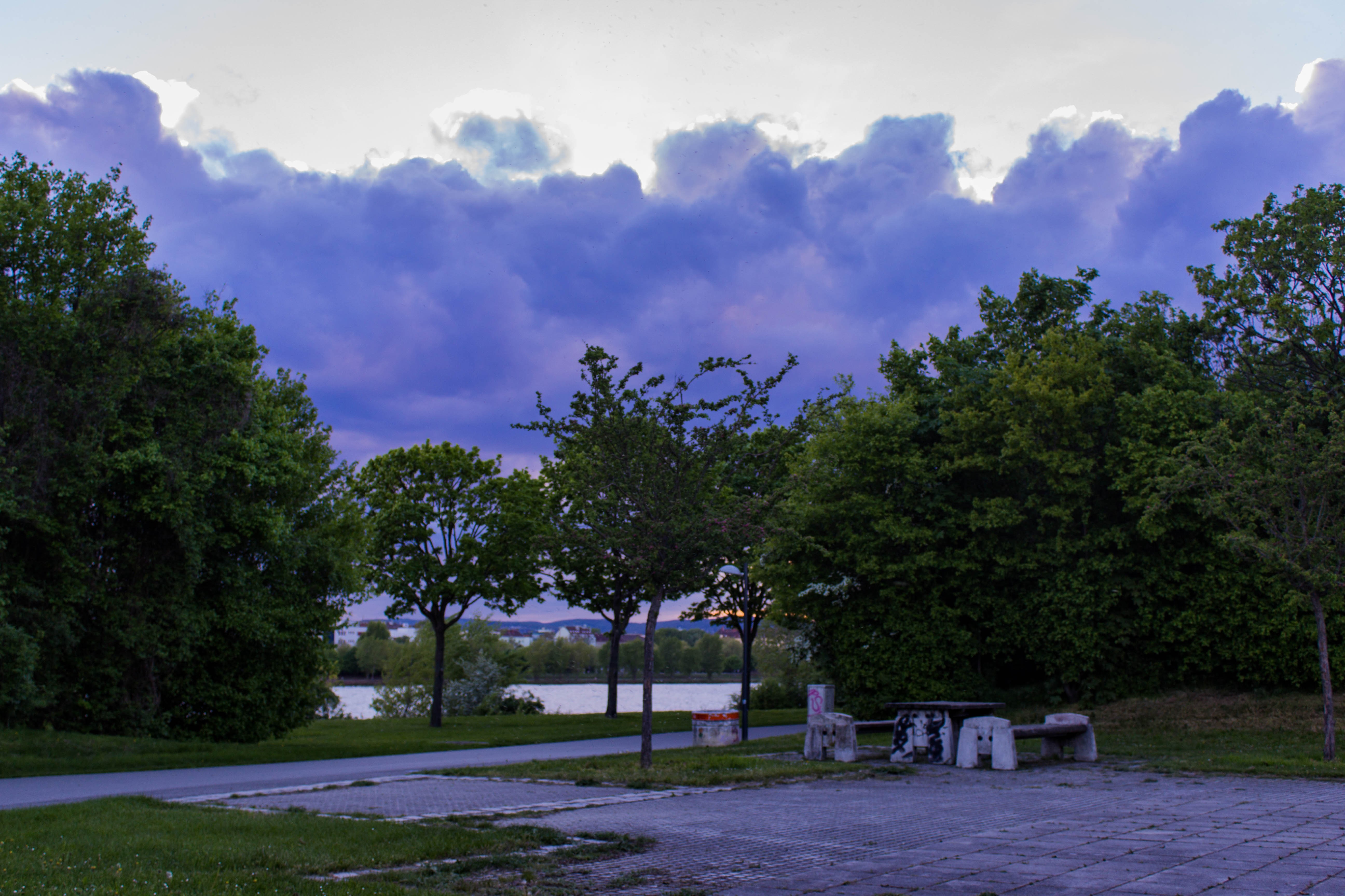 Park with trees and clouds by the water HD Wallpaper
