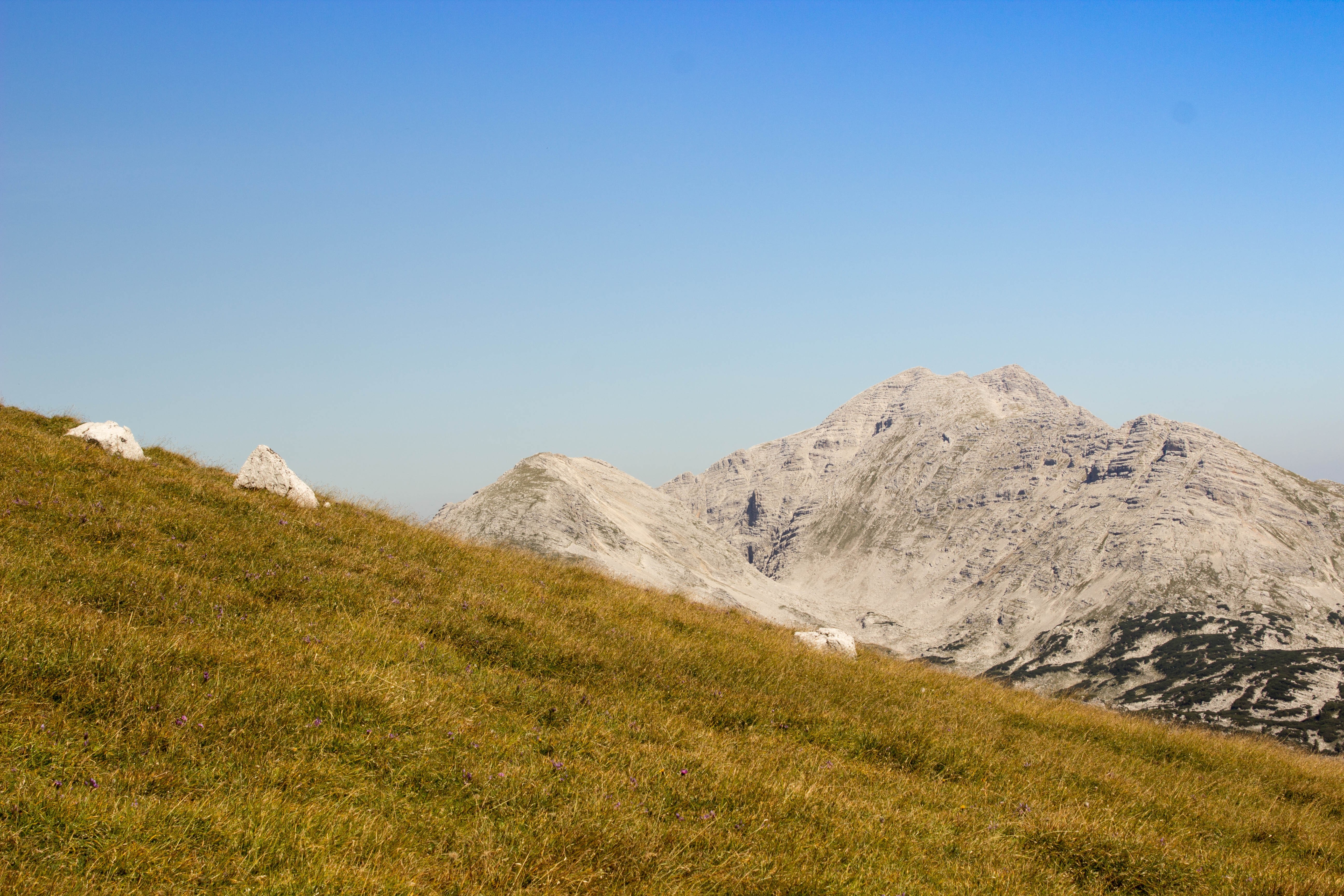 Grassy hill with mountains under a clear blue sky HD Wallpaper