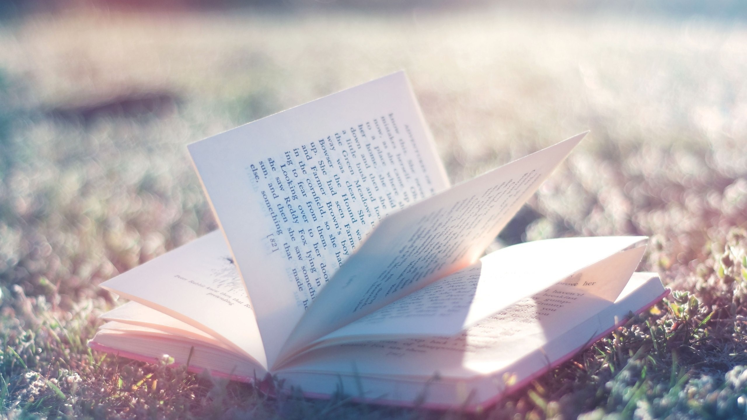 Open book lying on grass HD Wallpaper