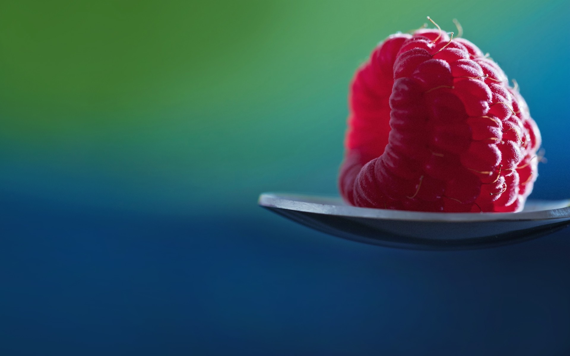 Raspberry on a spoon with a blue and green background HD Wallpaper