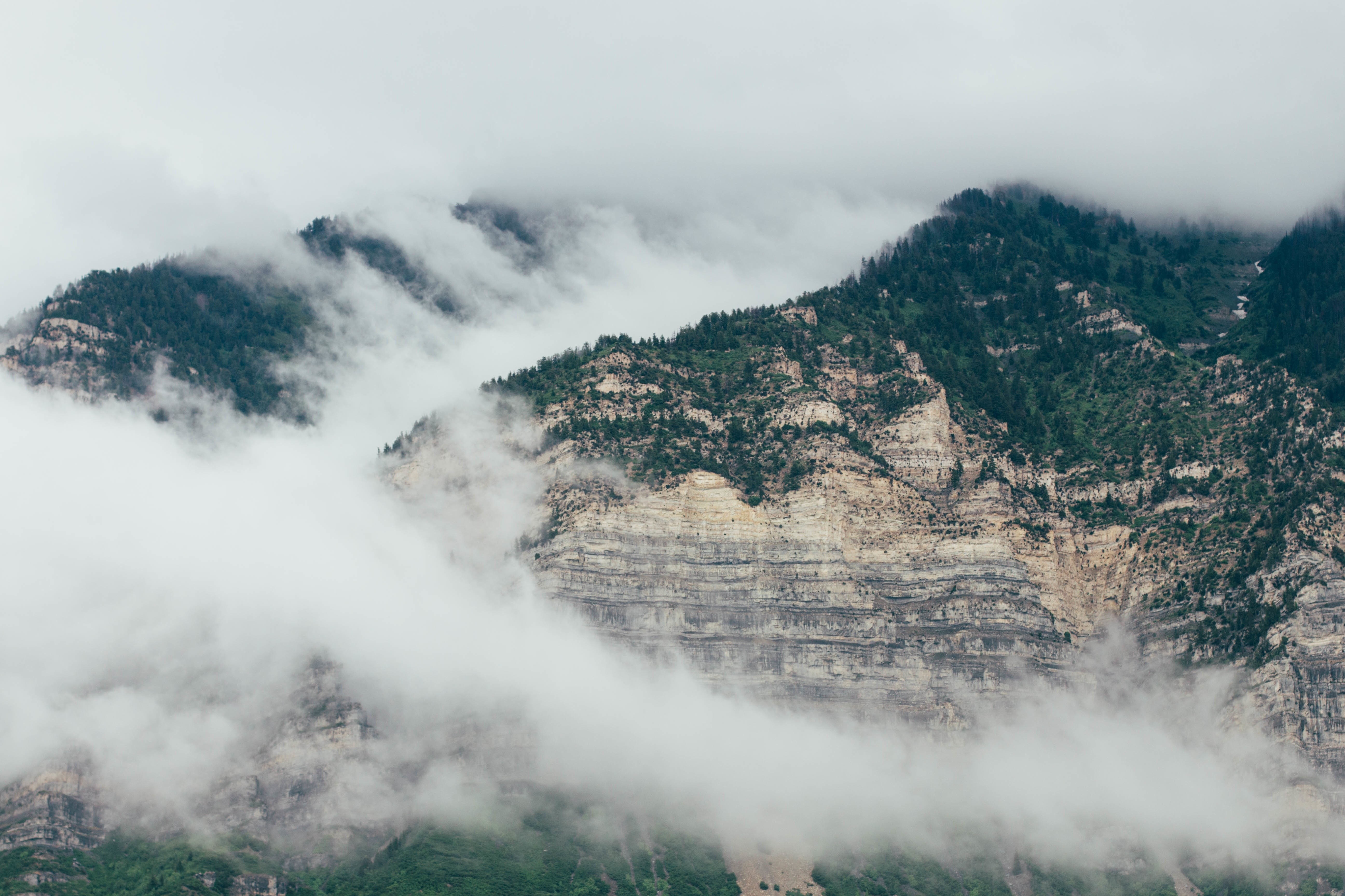 Misty mountains with rocky cliffs and pine trees HD Wallpaper