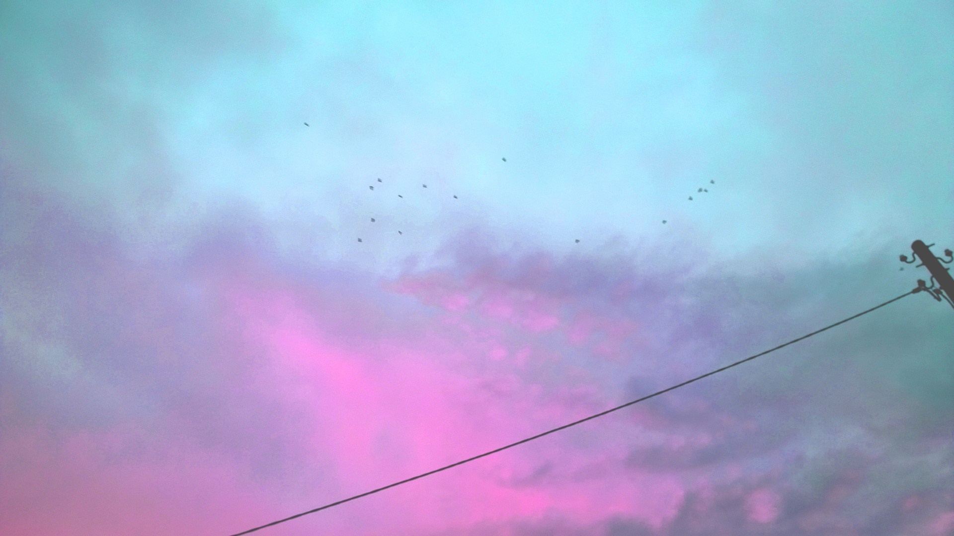 Birds flying in a colorful sky with clouds and a power line HD Wallpaper