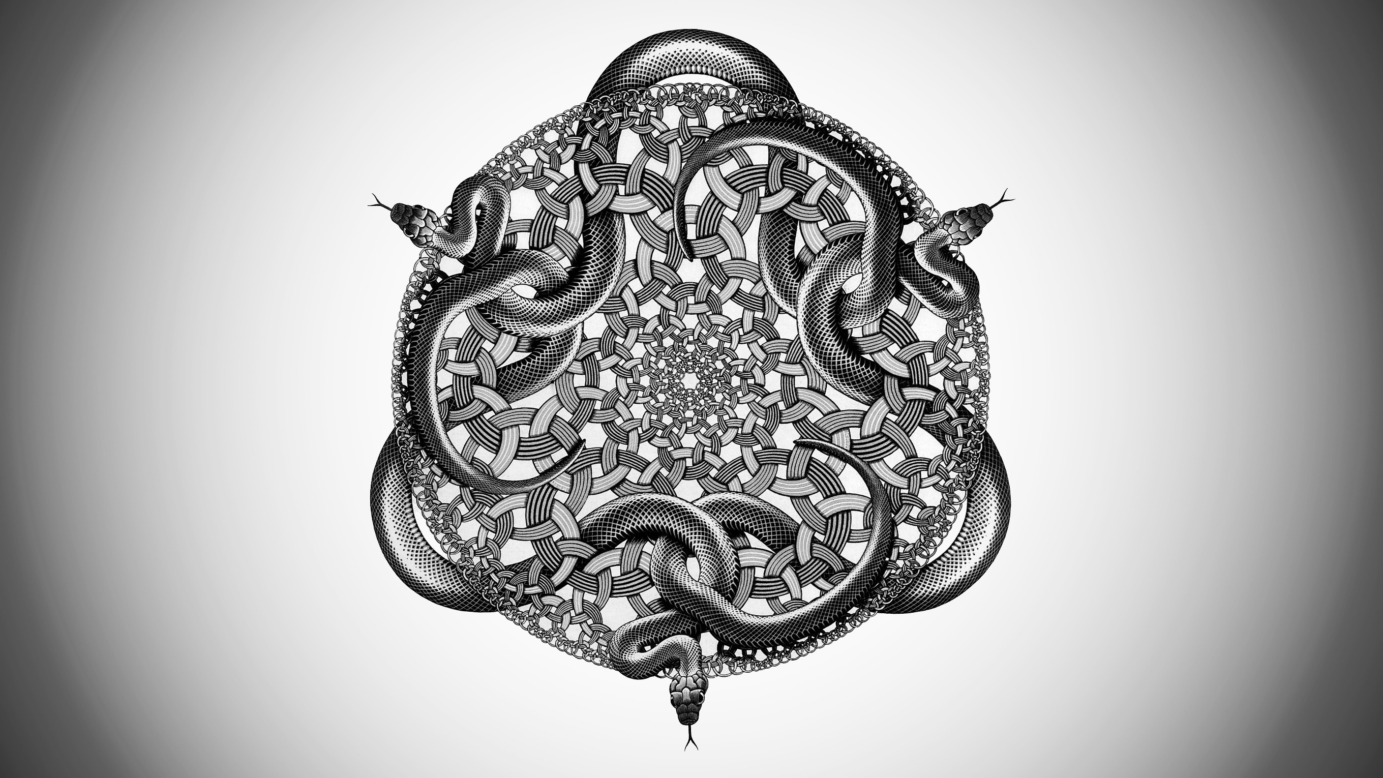 Monochrome illustration of snakes in a circular fractal pattern HD Wallpaper