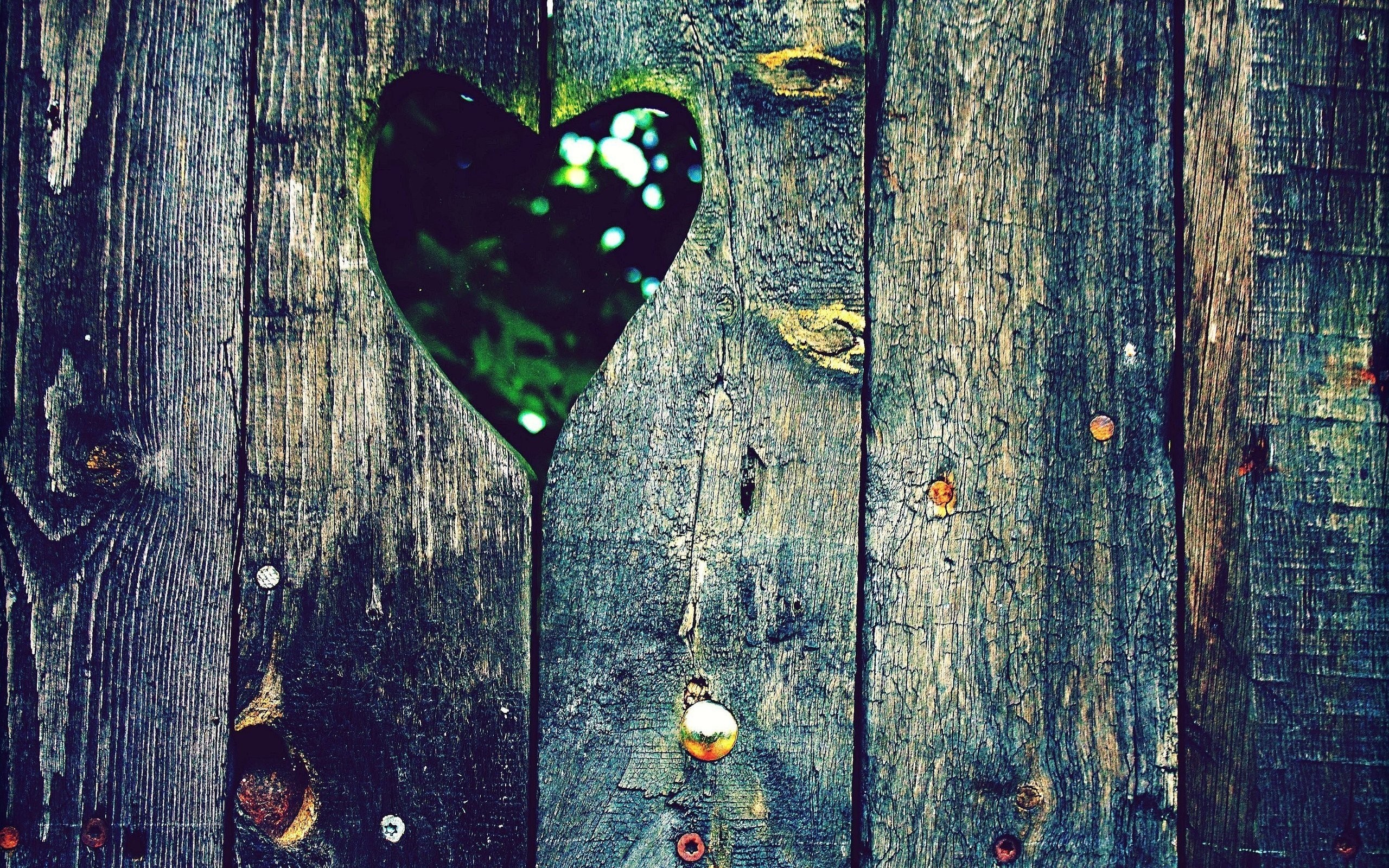 Heart-shaped hole in a weathered wooden fence HD Wallpaper