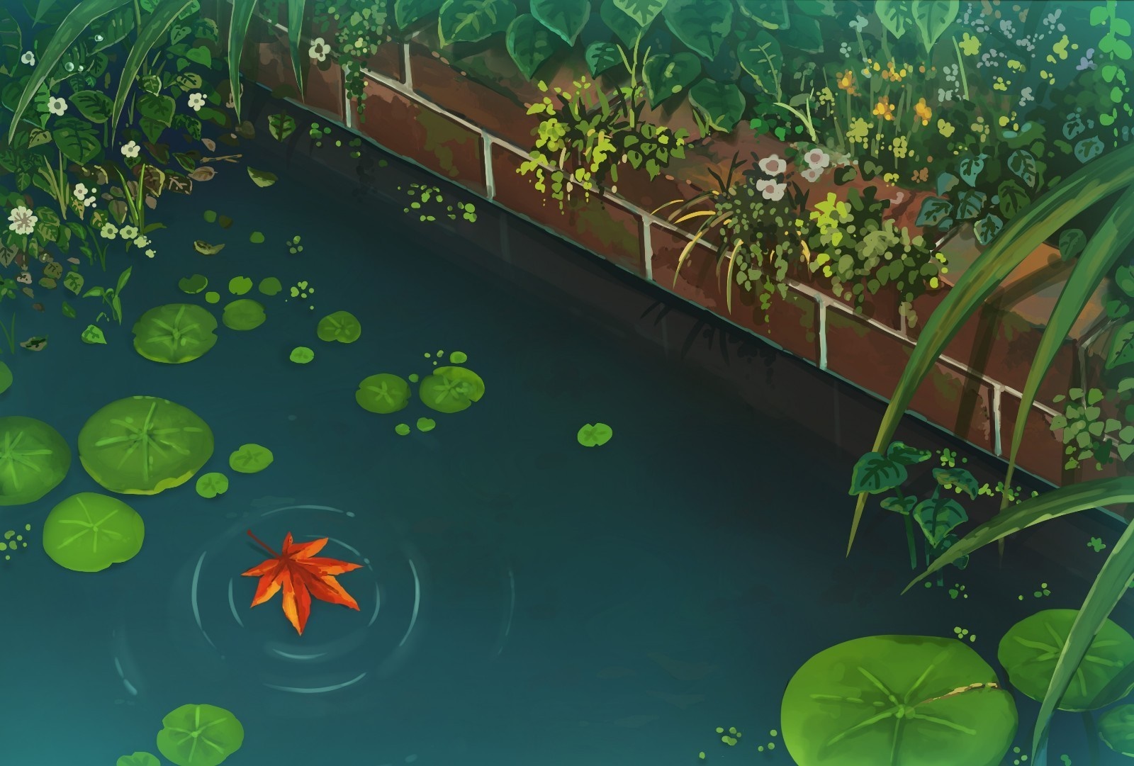 A Japanese garden pond with lily pads and a fallen leaf HD Wallpaper