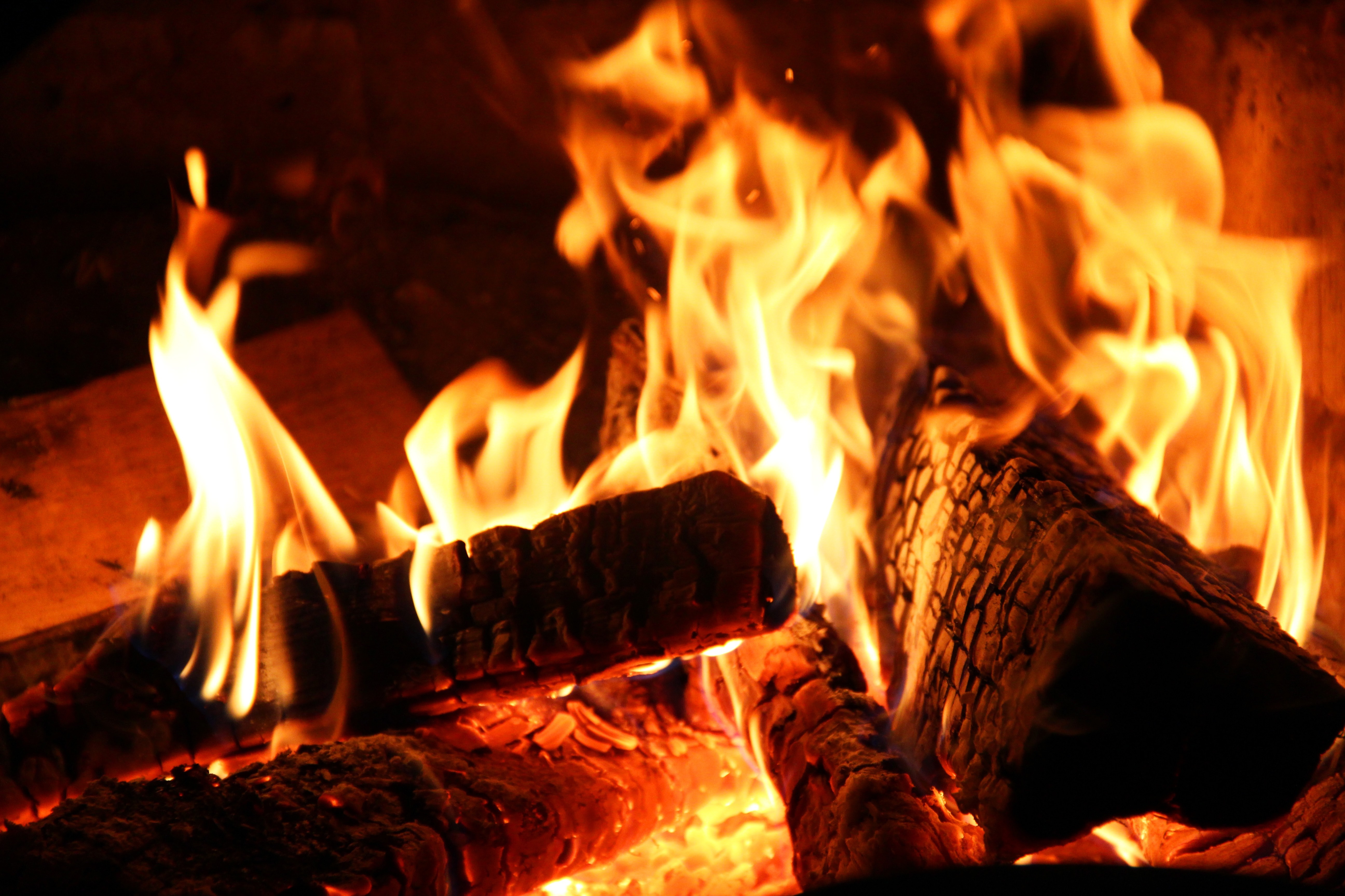 Close-up of a roaring campfire with burning logs HD Wallpaper