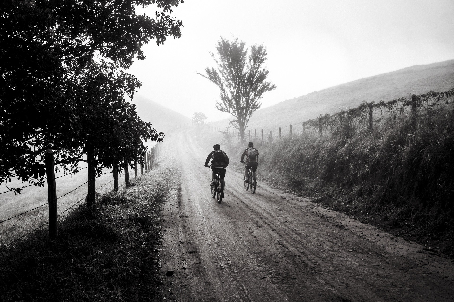 Two people cycling on a misty rural road HD Wallpaper