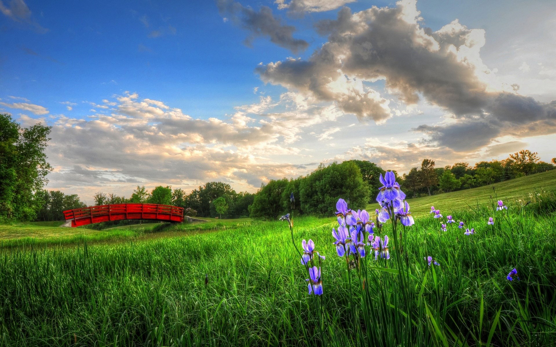 Red bridge over a stream with purple irises and a cloudy sky HD Wallpaper