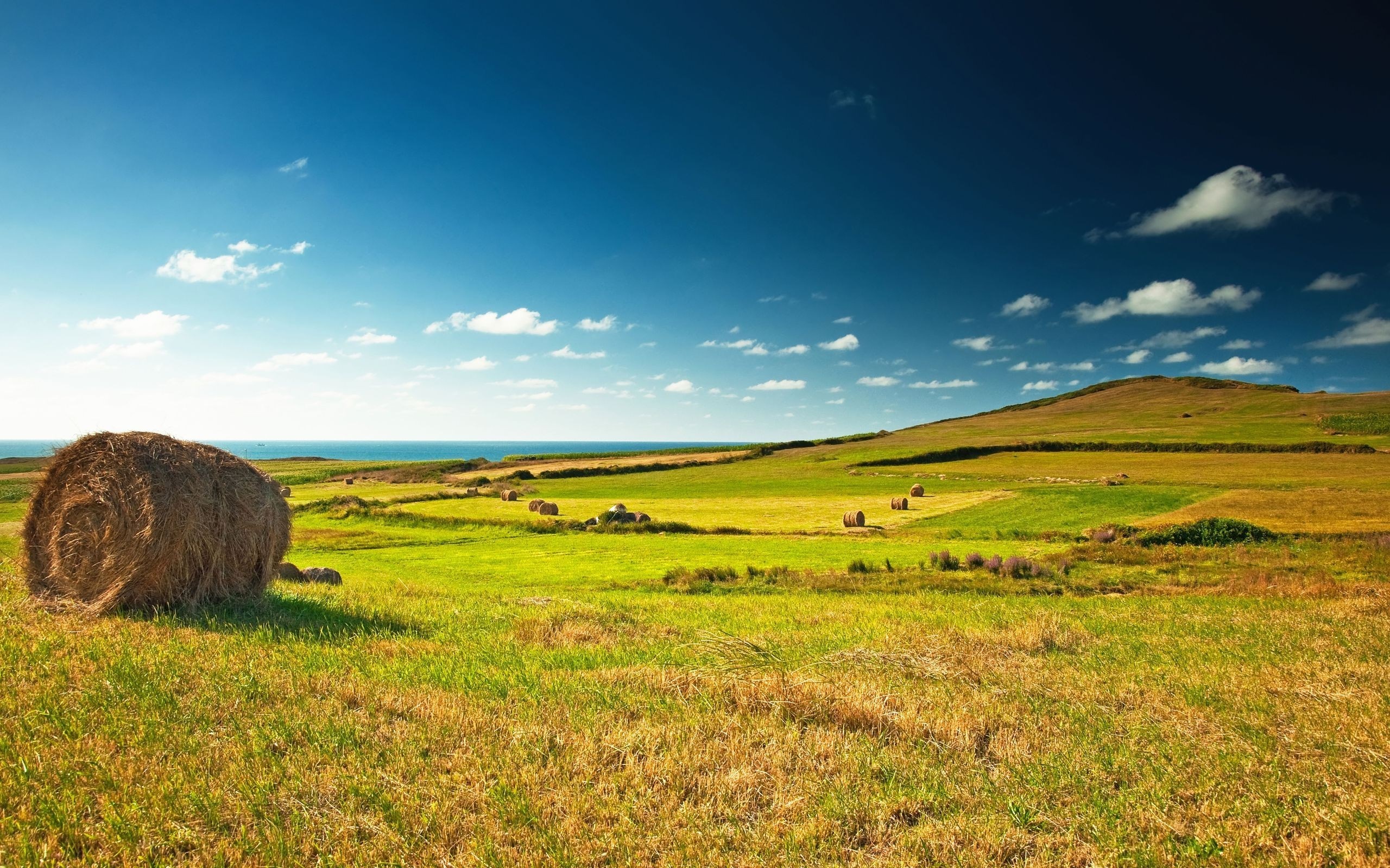 Hay bales in a green field with a blue sky HD Wallpaper