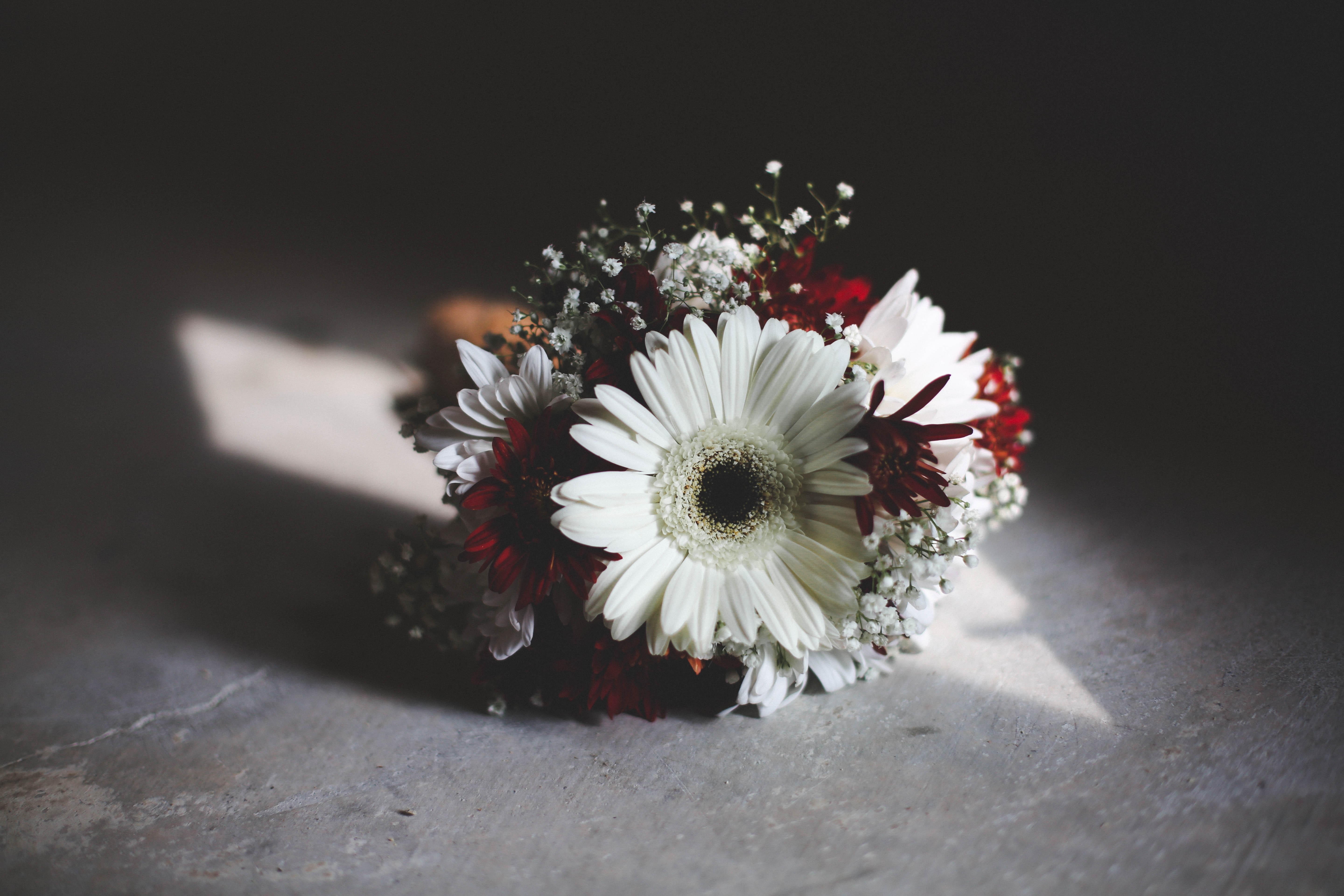 White and red gerbera flower bouquet on a concrete surface HD Wallpaper