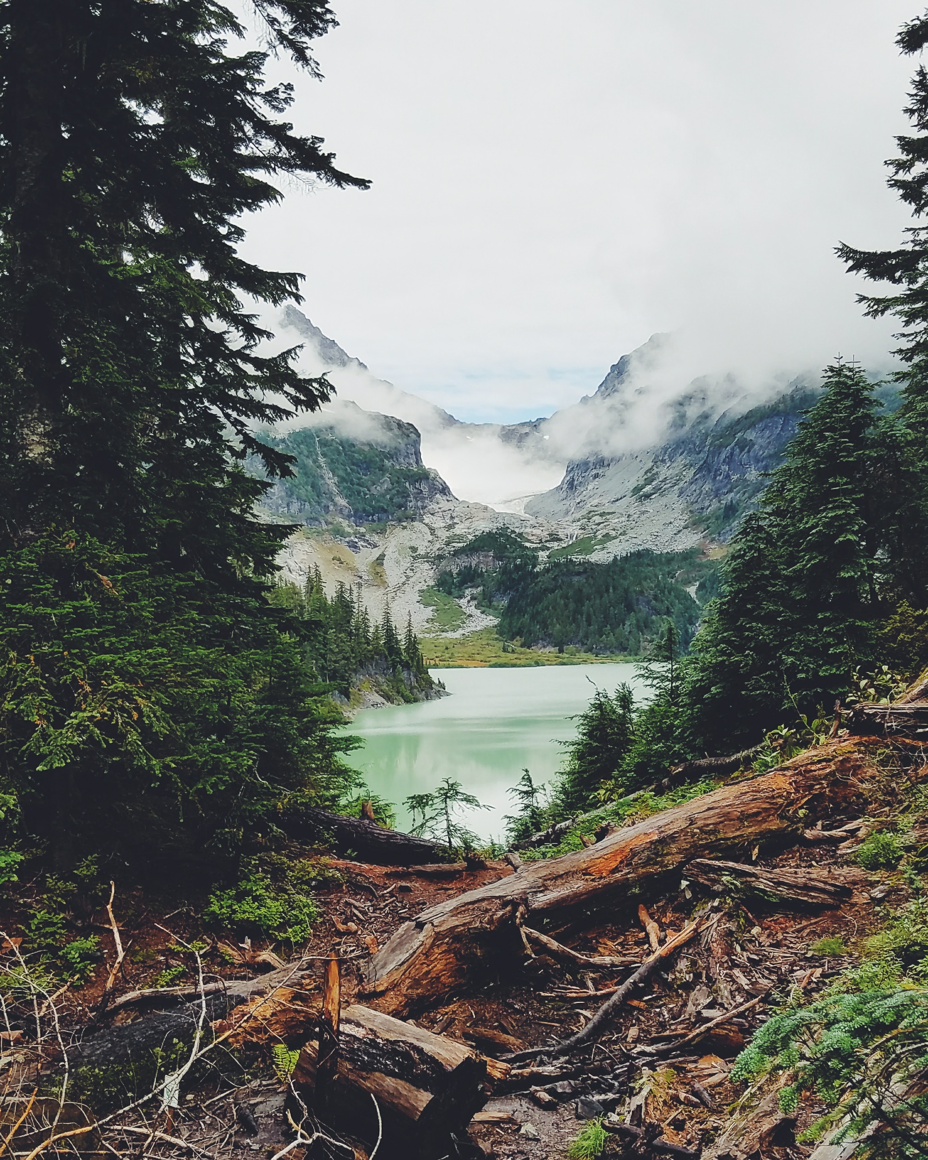 Lake and mountains viewed through a forest trail HD Wallpaper
