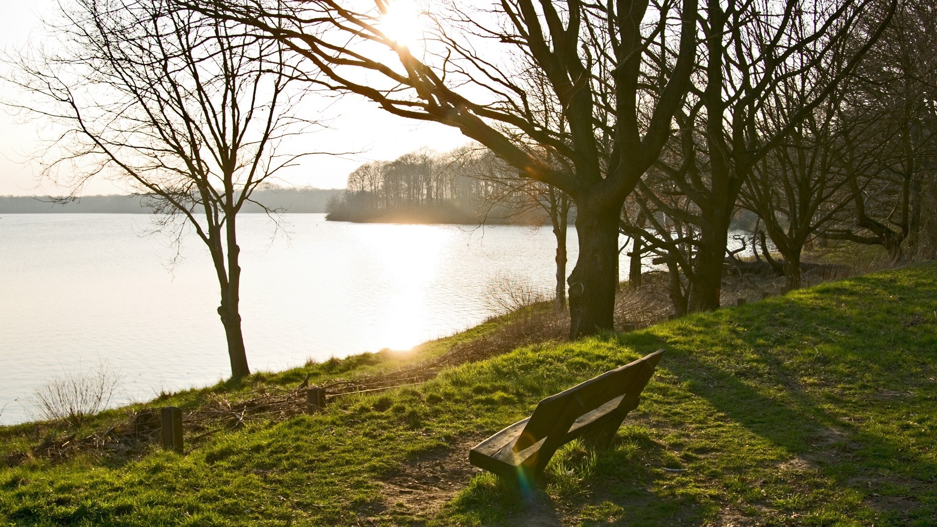 Bench by a lake with trees and sunlight HD Wallpaper