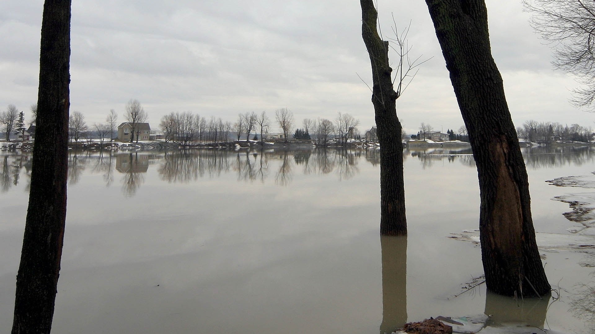 Winter landscape with flooded river and trees HD Wallpaper