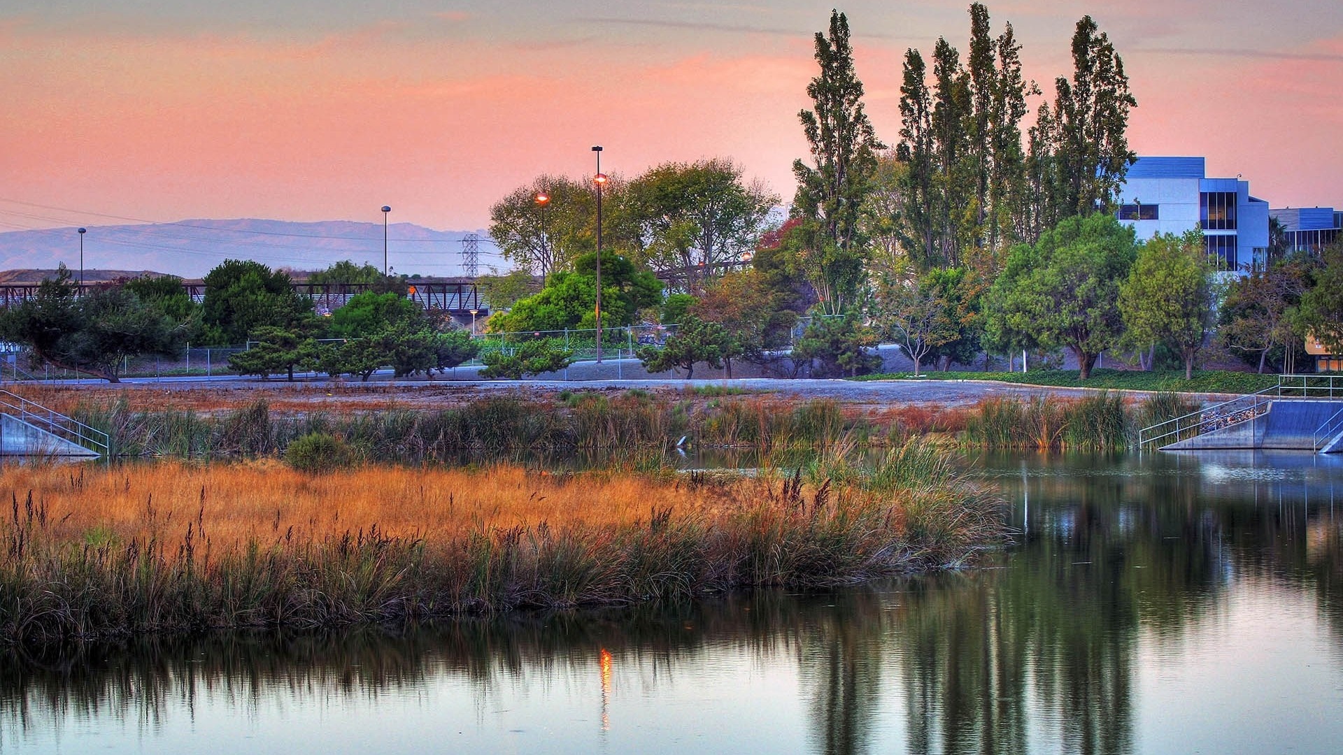 Sunset over a lake with reeds and buildings HD Wallpaper