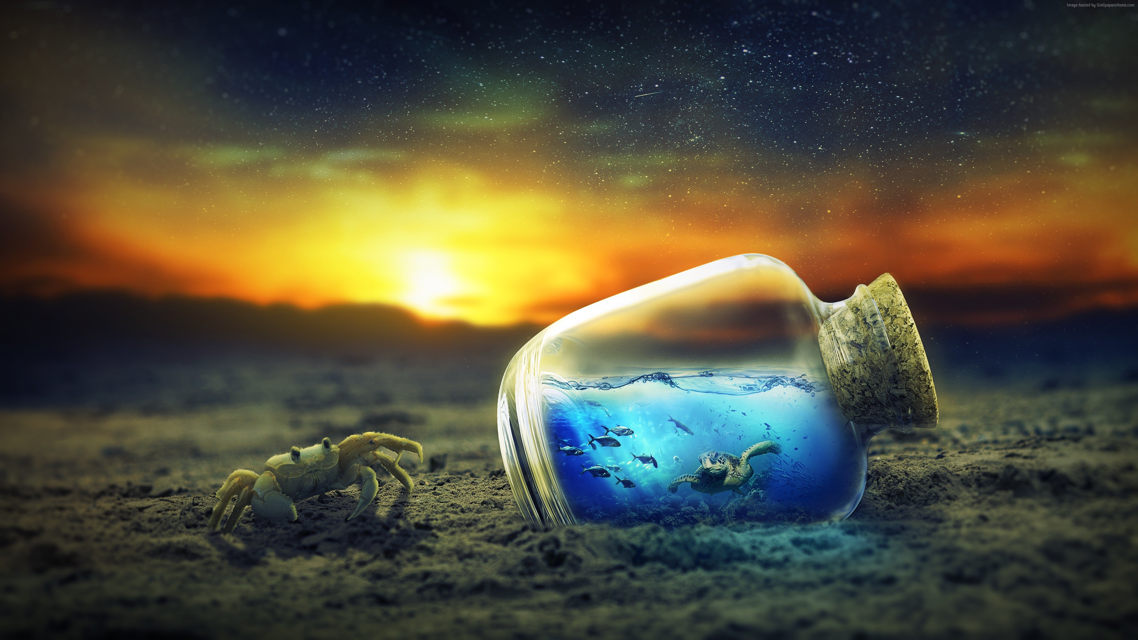 Crab and Bottle with Turtle and Fish 4K HD Wallpaper