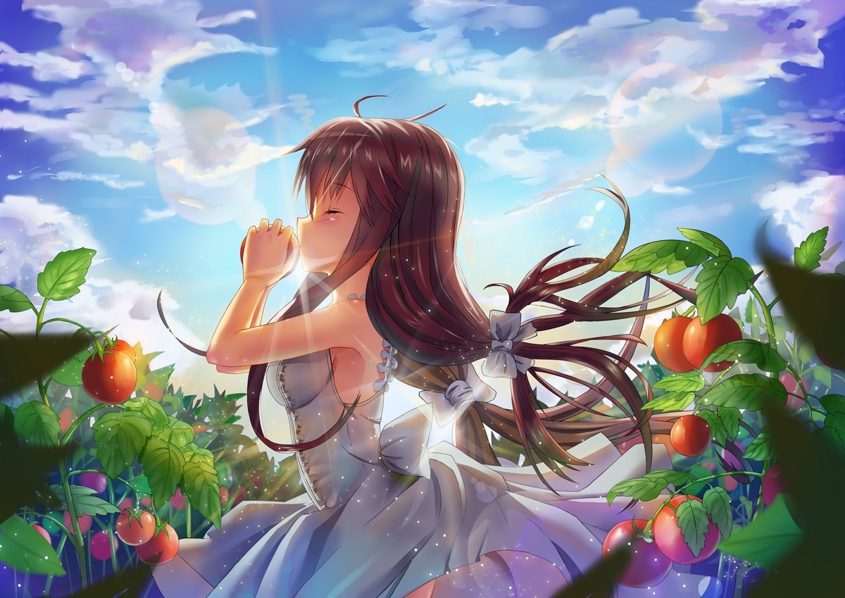 Anime girl praying in a tomato garden HD Wallpaper