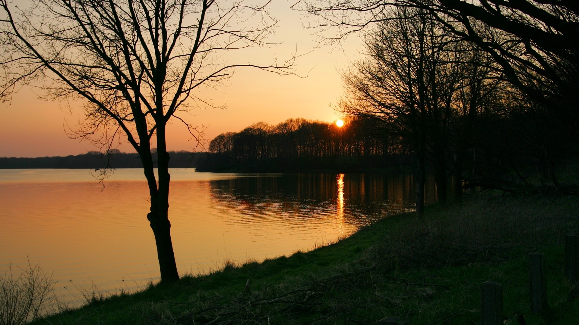 Sunset over a lake with trees and reflections HD Wallpaper