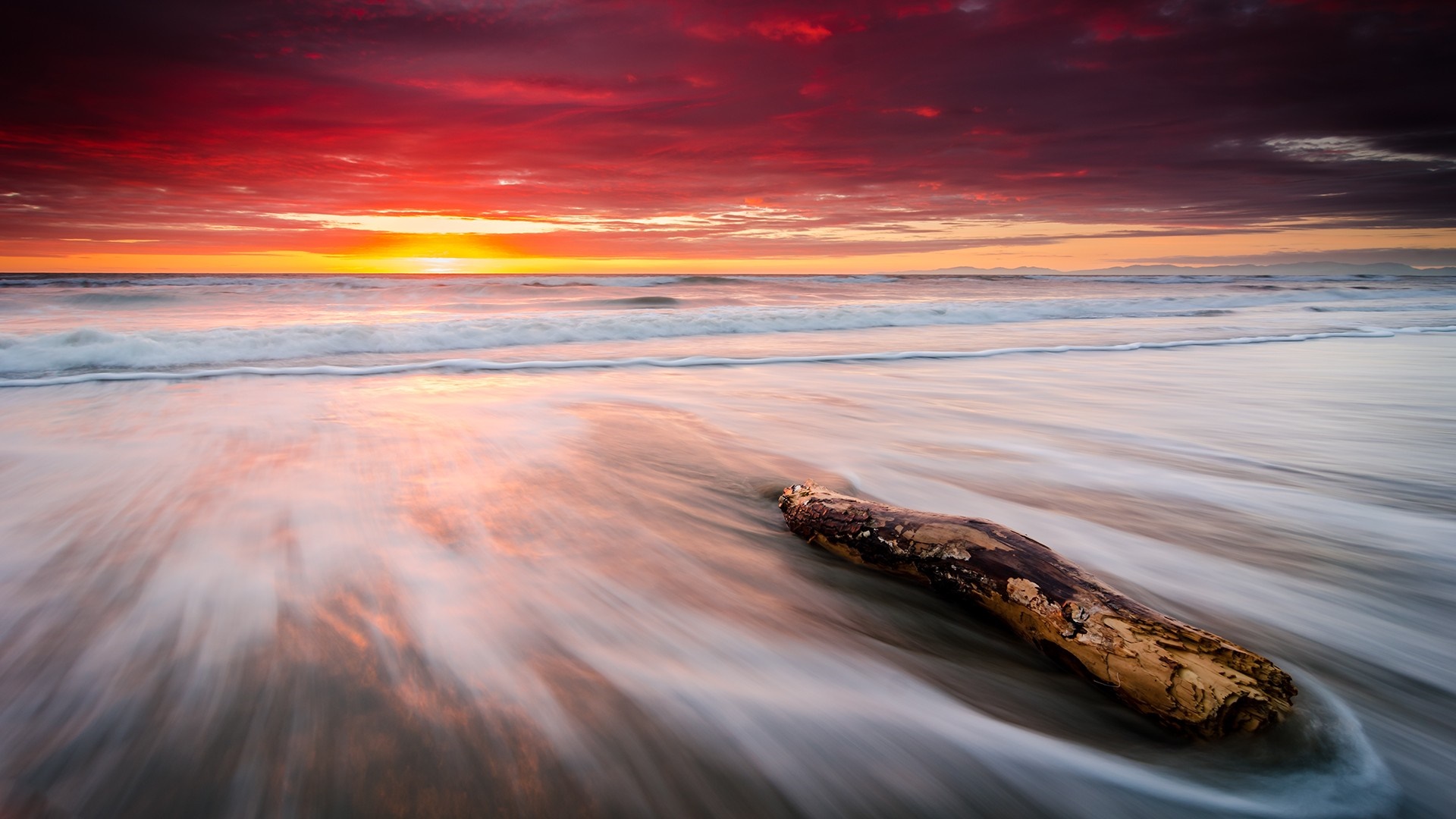 Sunset over the ocean with driftwood on the shore HD Wallpaper