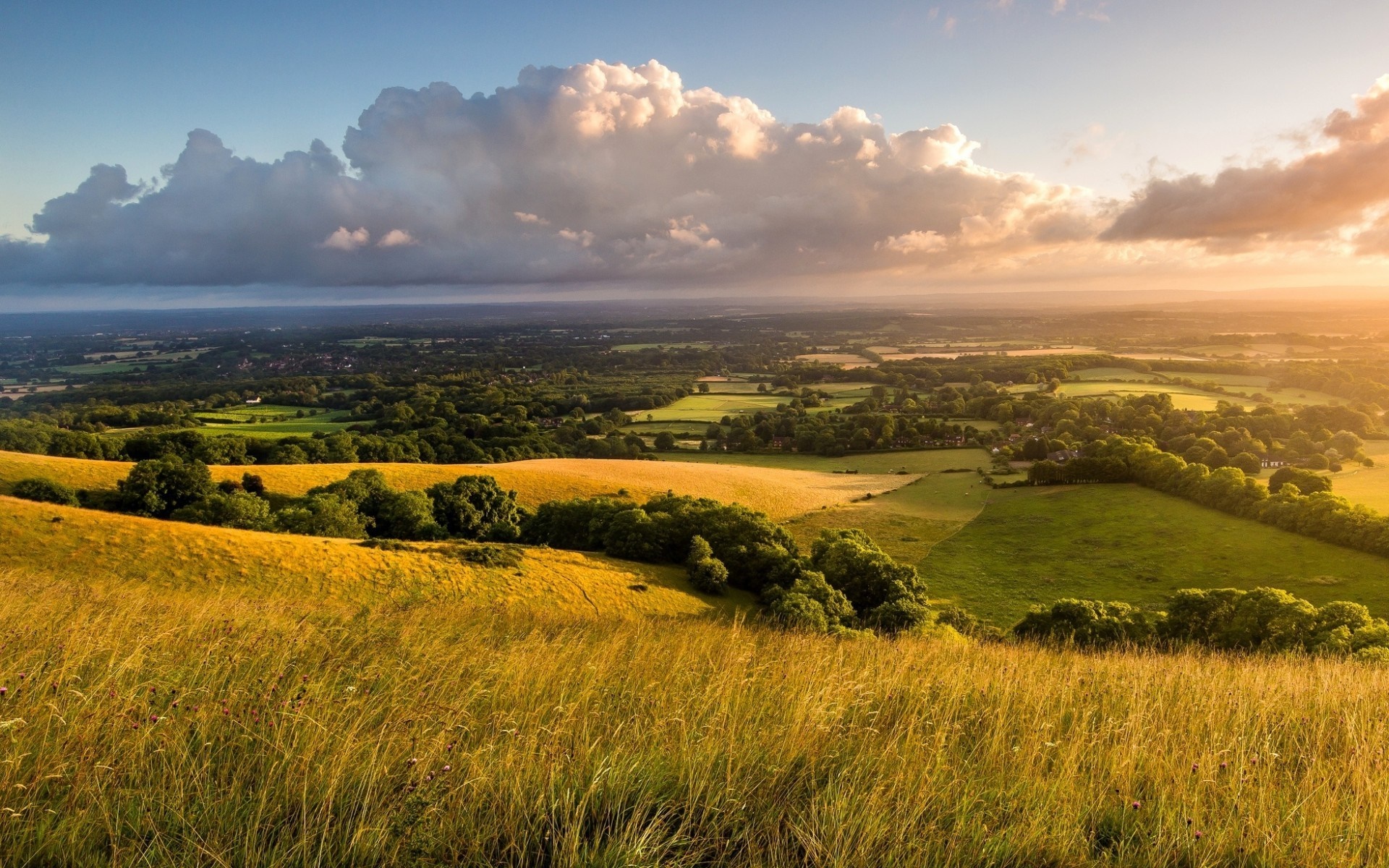 Golden hills and fields at sunset with dramatic clouds HD Wallpaper