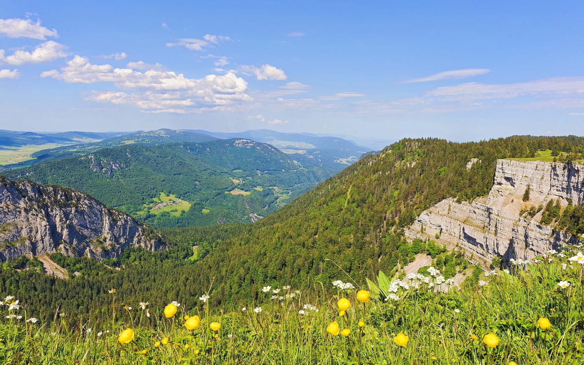 Mountain valley with wildflowers and rocky cliffs HD Wallpaper