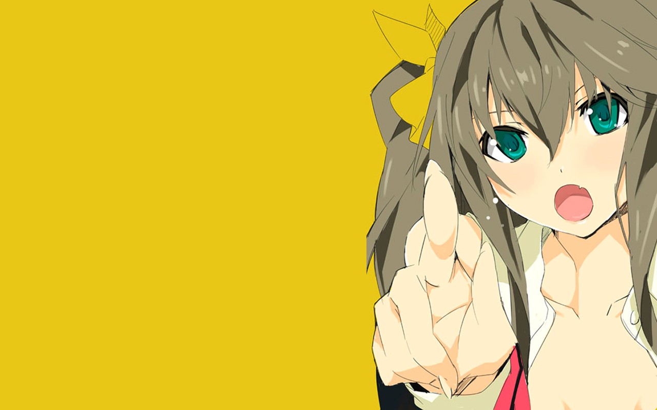 Chifuyu Orimura from Infinite Stratos pointing forward HD Wallpaper