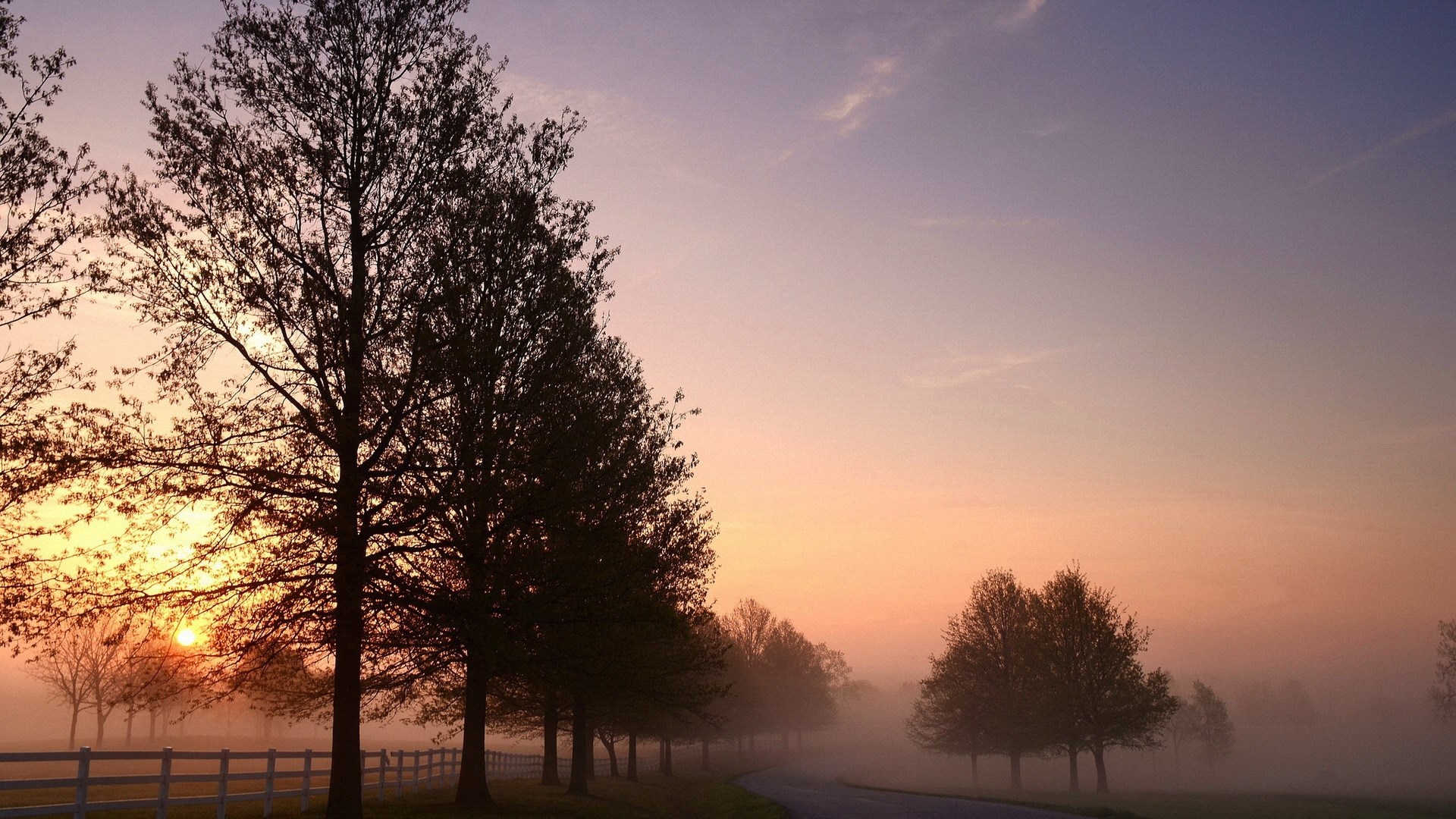Sunrise over a misty country road lined with trees HD Wallpaper