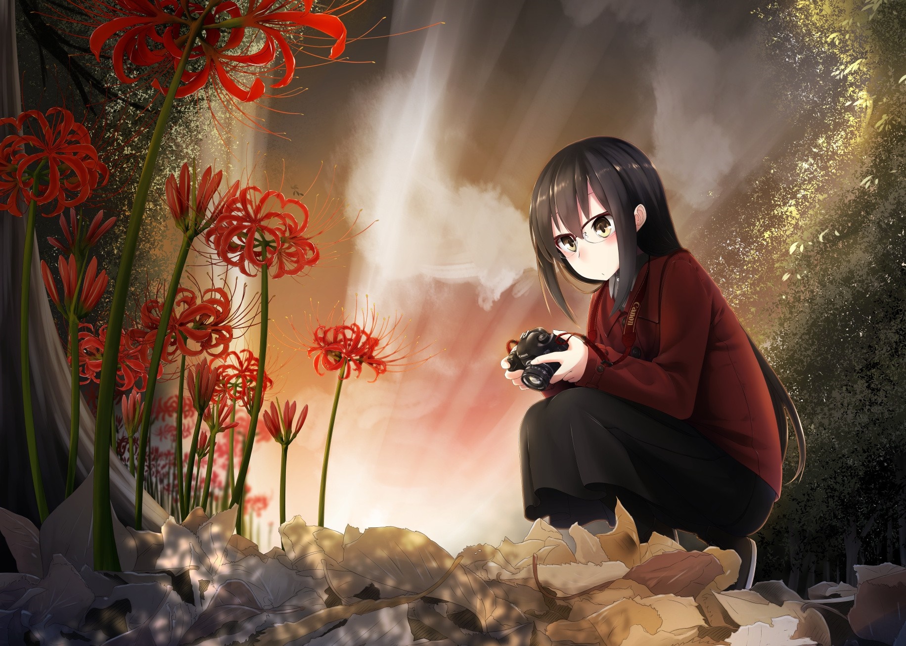 Anime girl with glasses and camera among red spider lilies HD Wallpaper