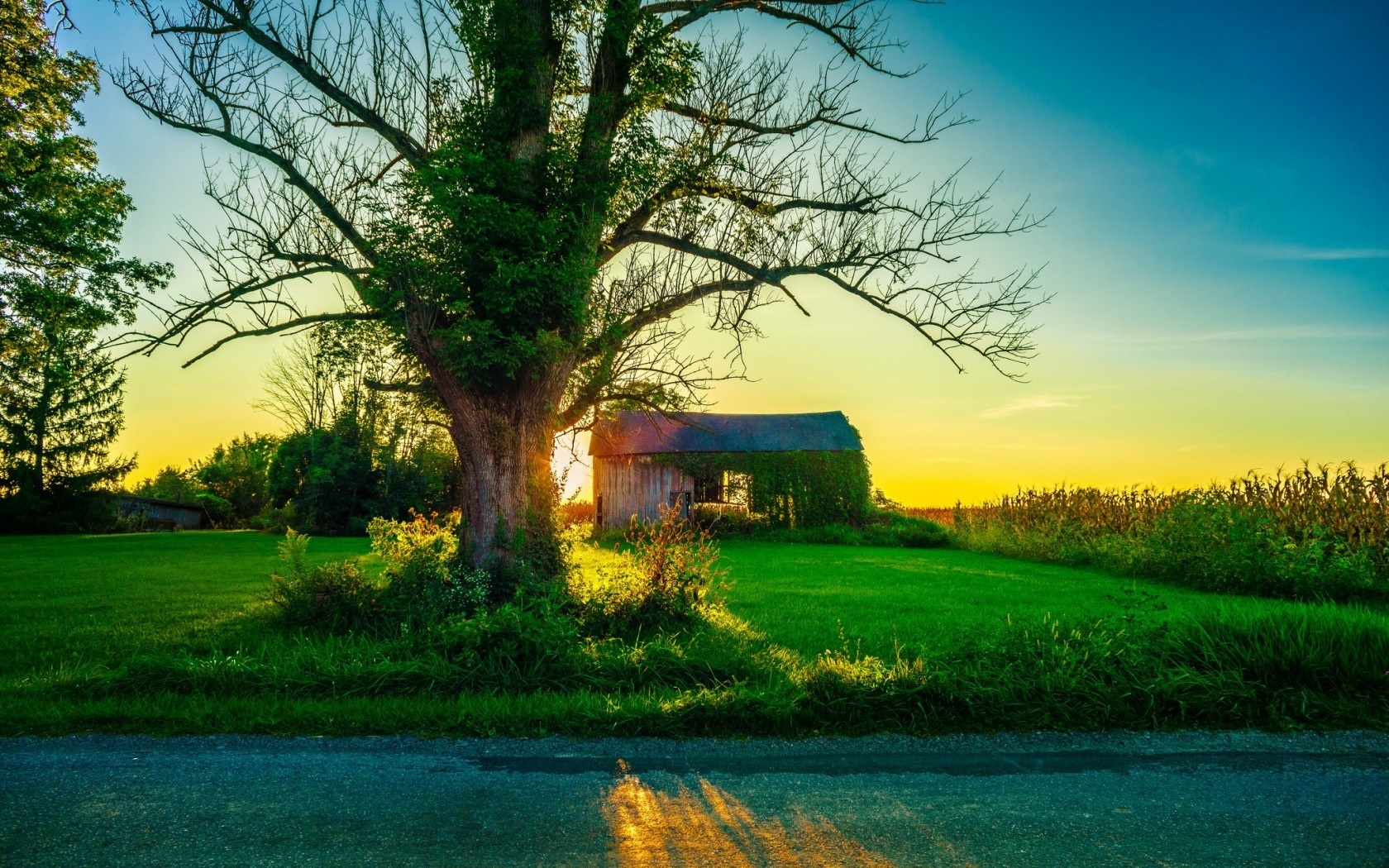 Rural landscape with old barn and tree at sunset HD Wallpaper
