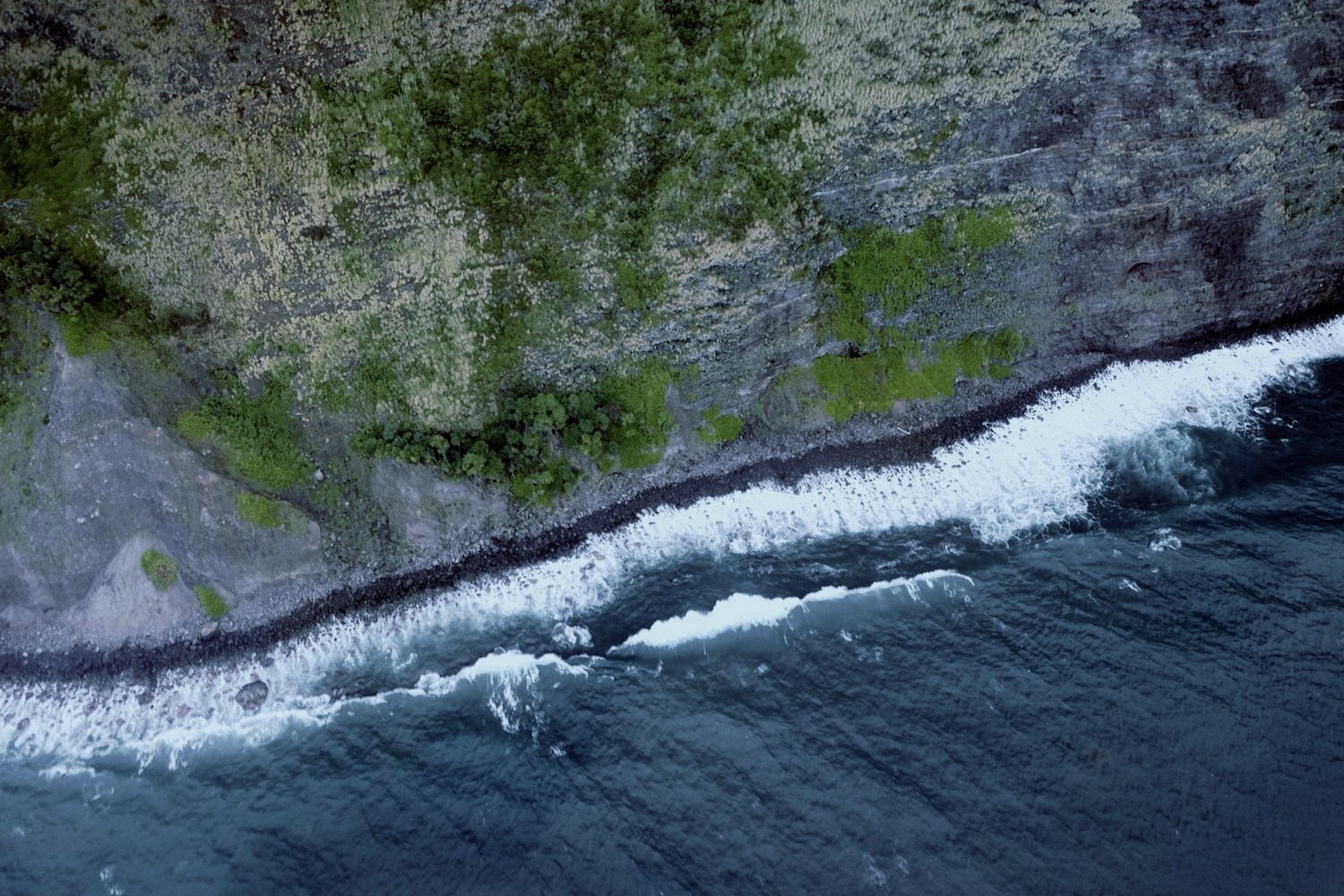 Aerial view of waves crashing on a rocky shore with vegetation HD Wallpaper