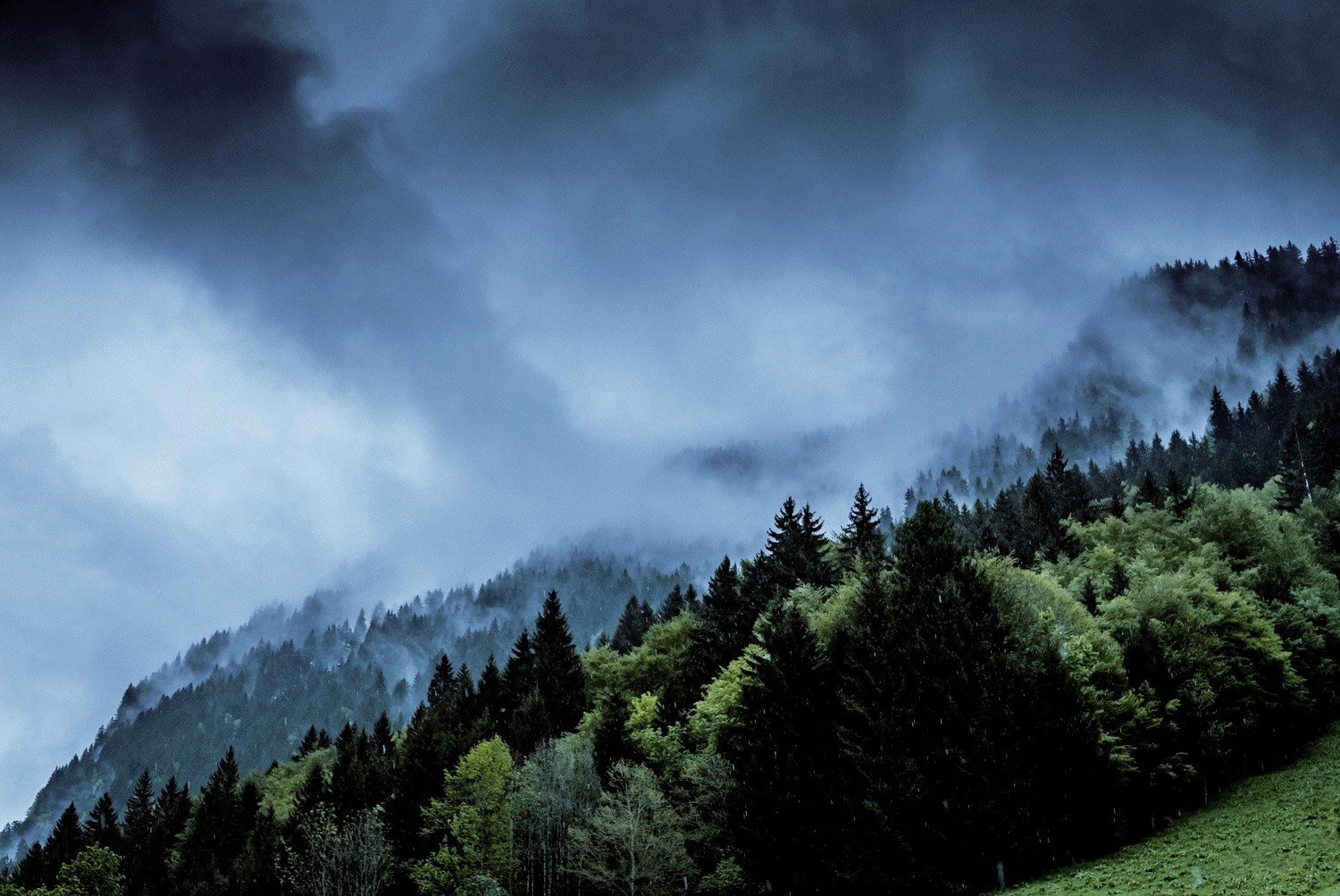 Misty forest on a mountainside under dark clouds HD Wallpaper