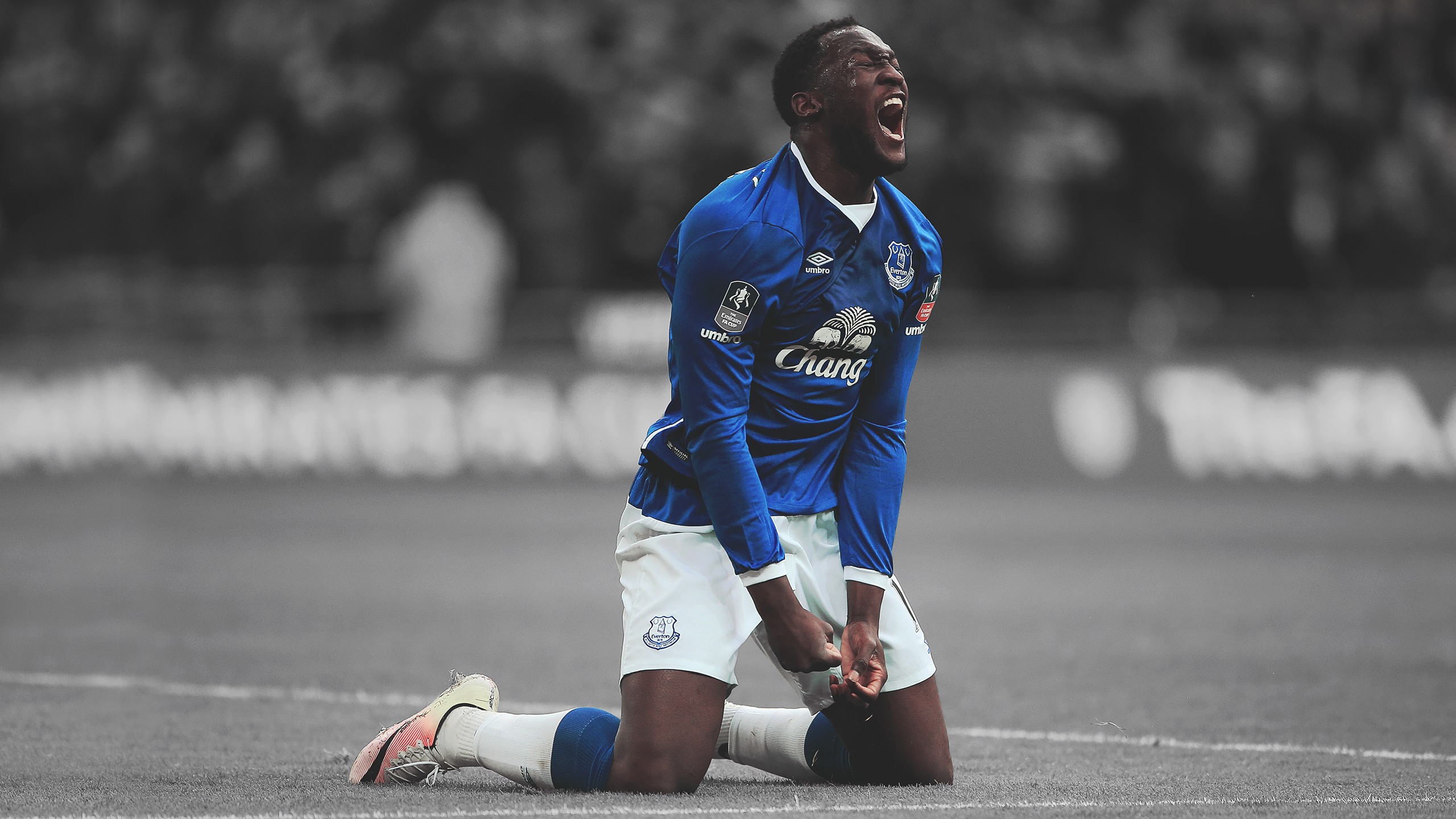 Romelu Lukaku of Everton FC on the field HD Wallpaper