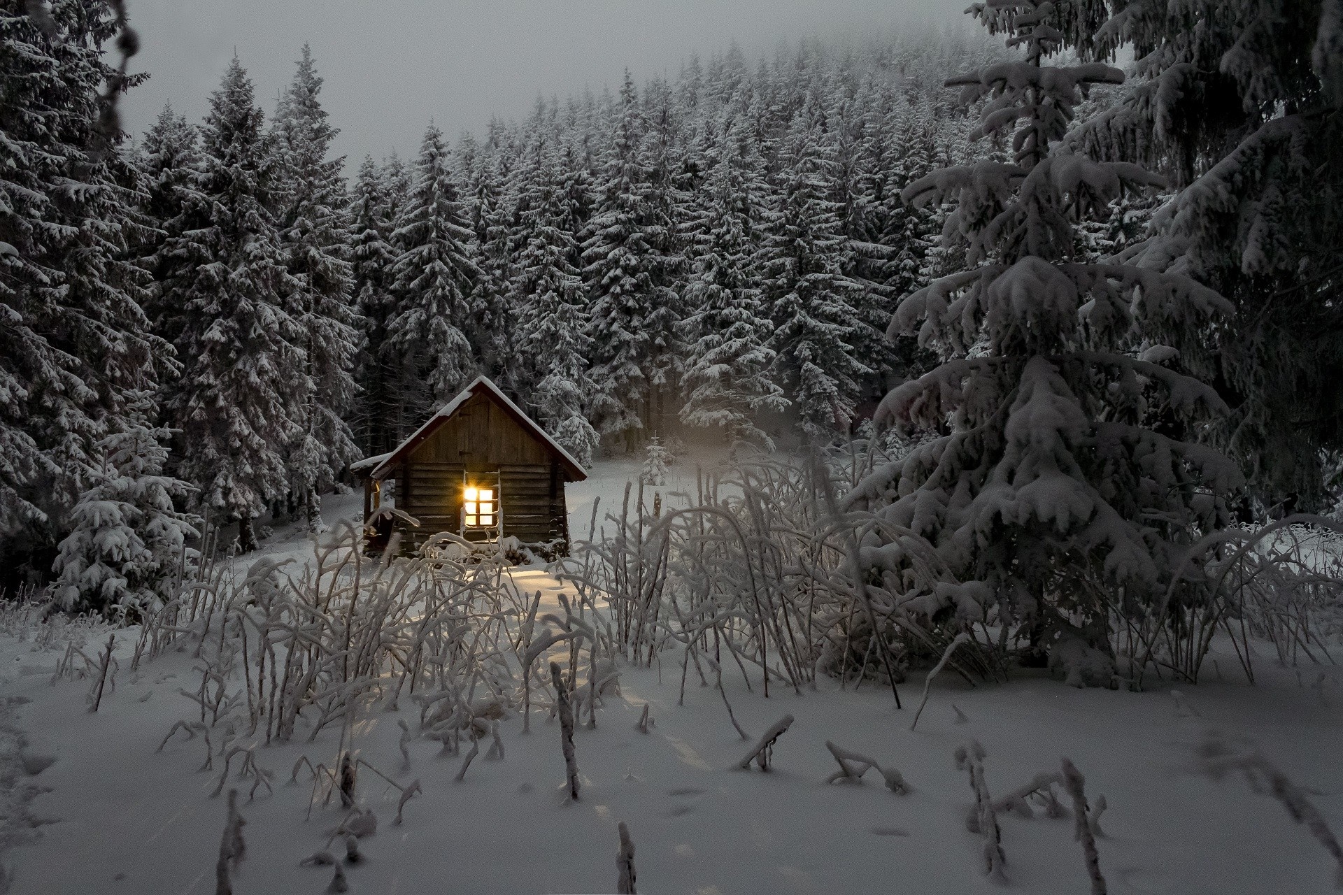 Snowy cabin in a winter forest HD Wallpaper
