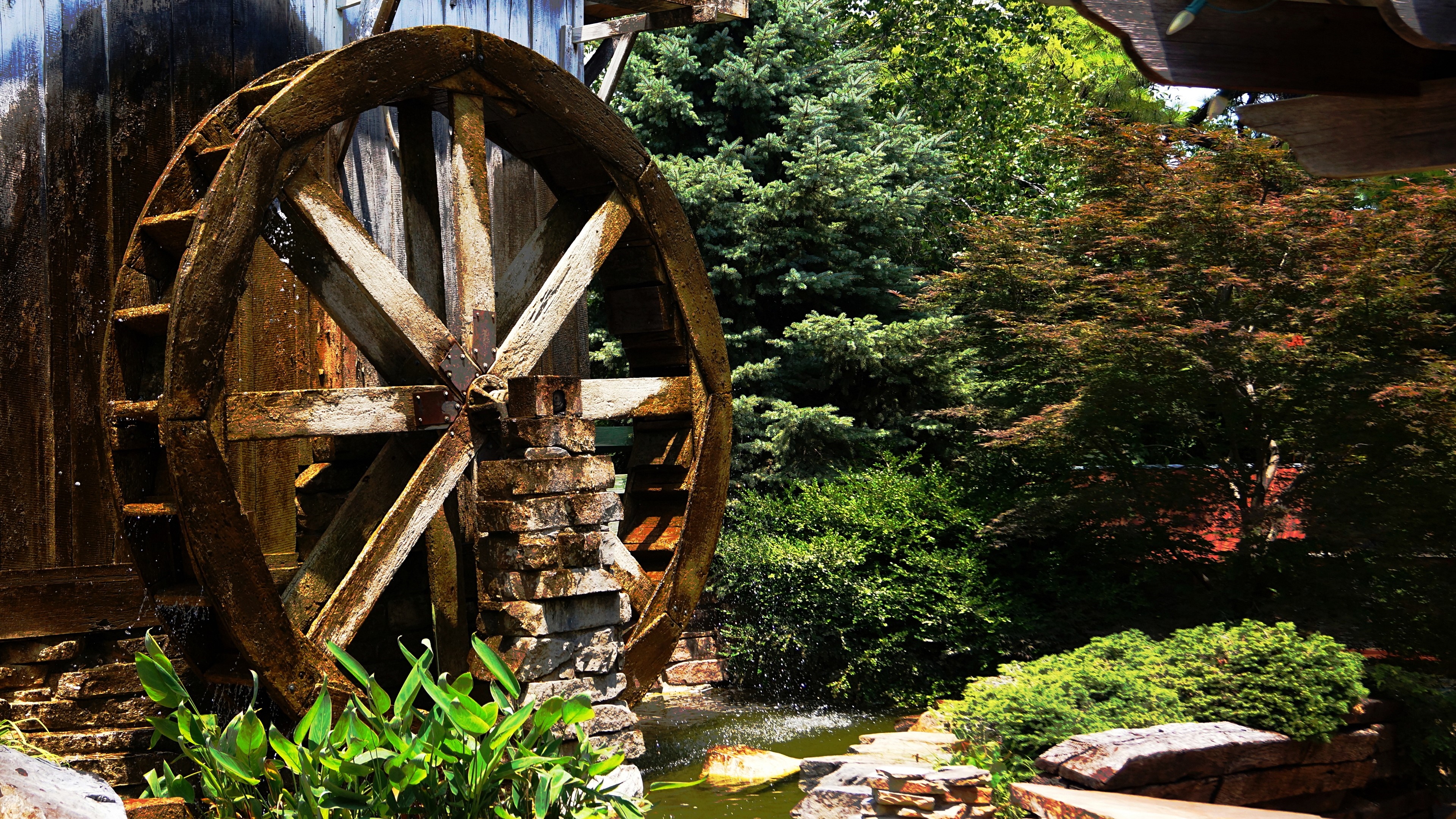 Wooden water wheel in a garden with trees HD Wallpaper