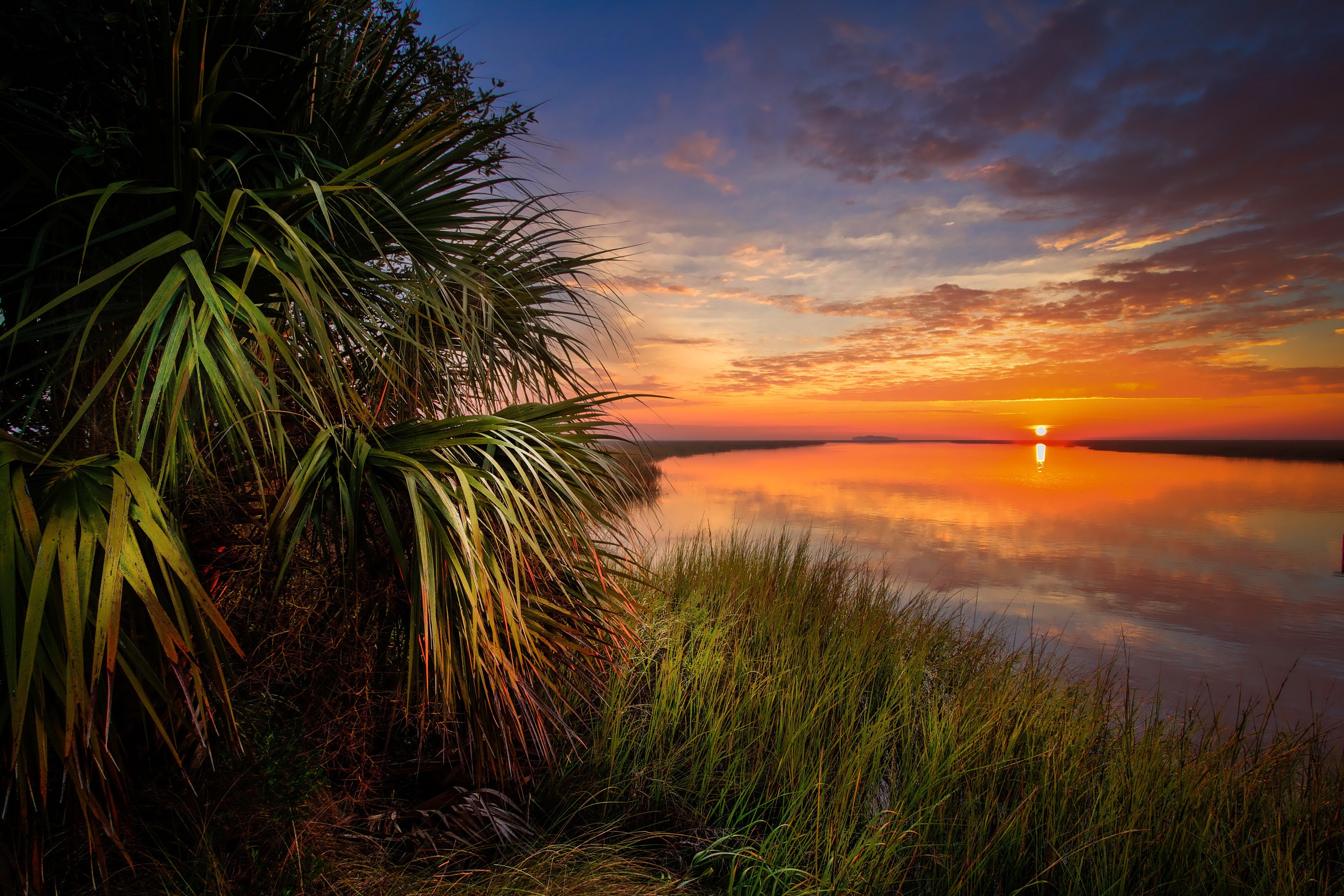 Sunset over a calm river with palm trees and grass HD Wallpaper