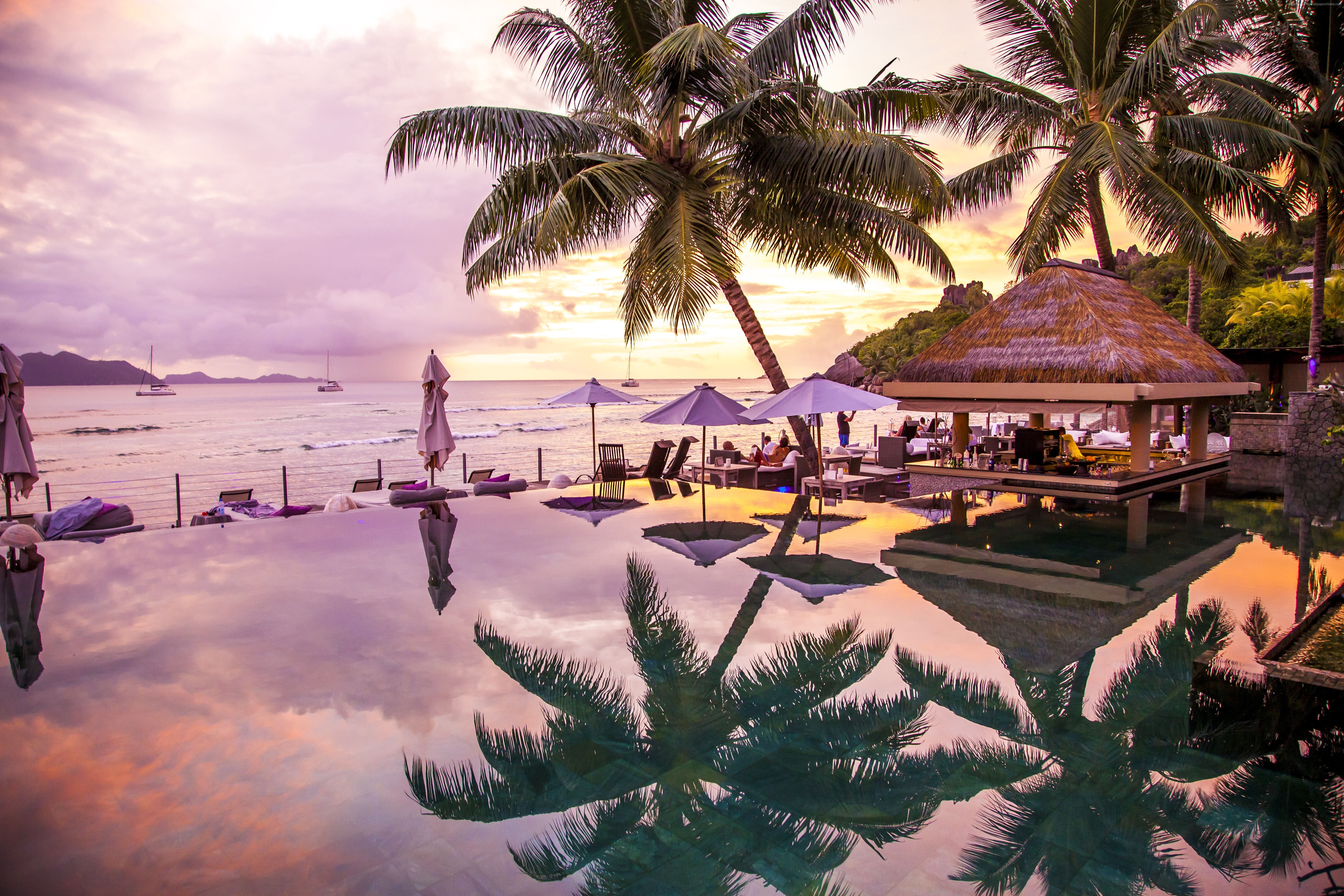 Infinity pool at sunset with palm trees and ocean view HD Wallpaper