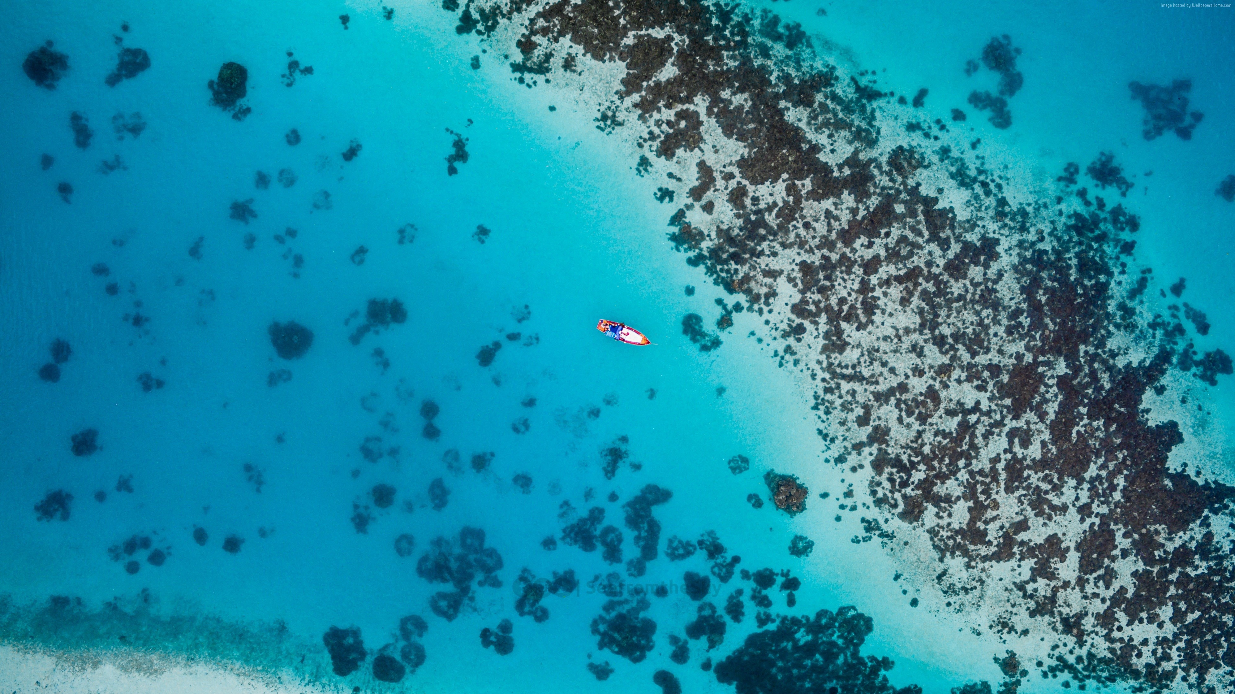 Aerial view of a person on a paddleboard in turquoise water with coral reefs HD Wallpaper