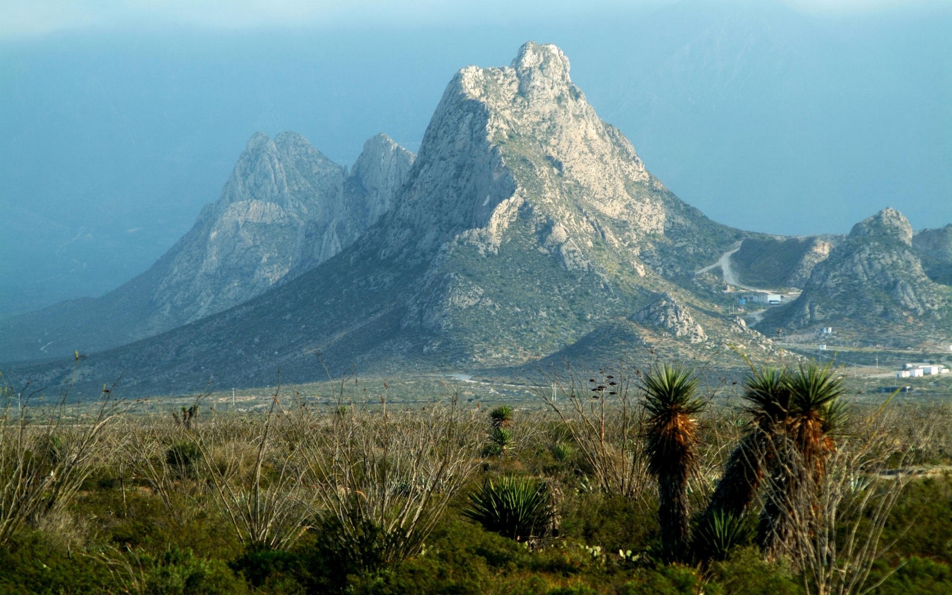 Mountain range with desert vegetation and a road HD Wallpaper