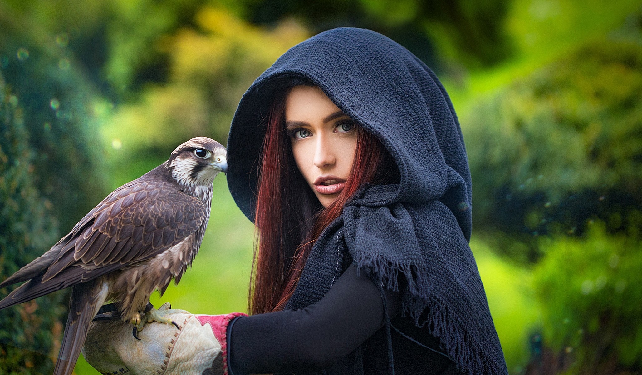 Woman in hood with falcon on her arm HD Wallpaper