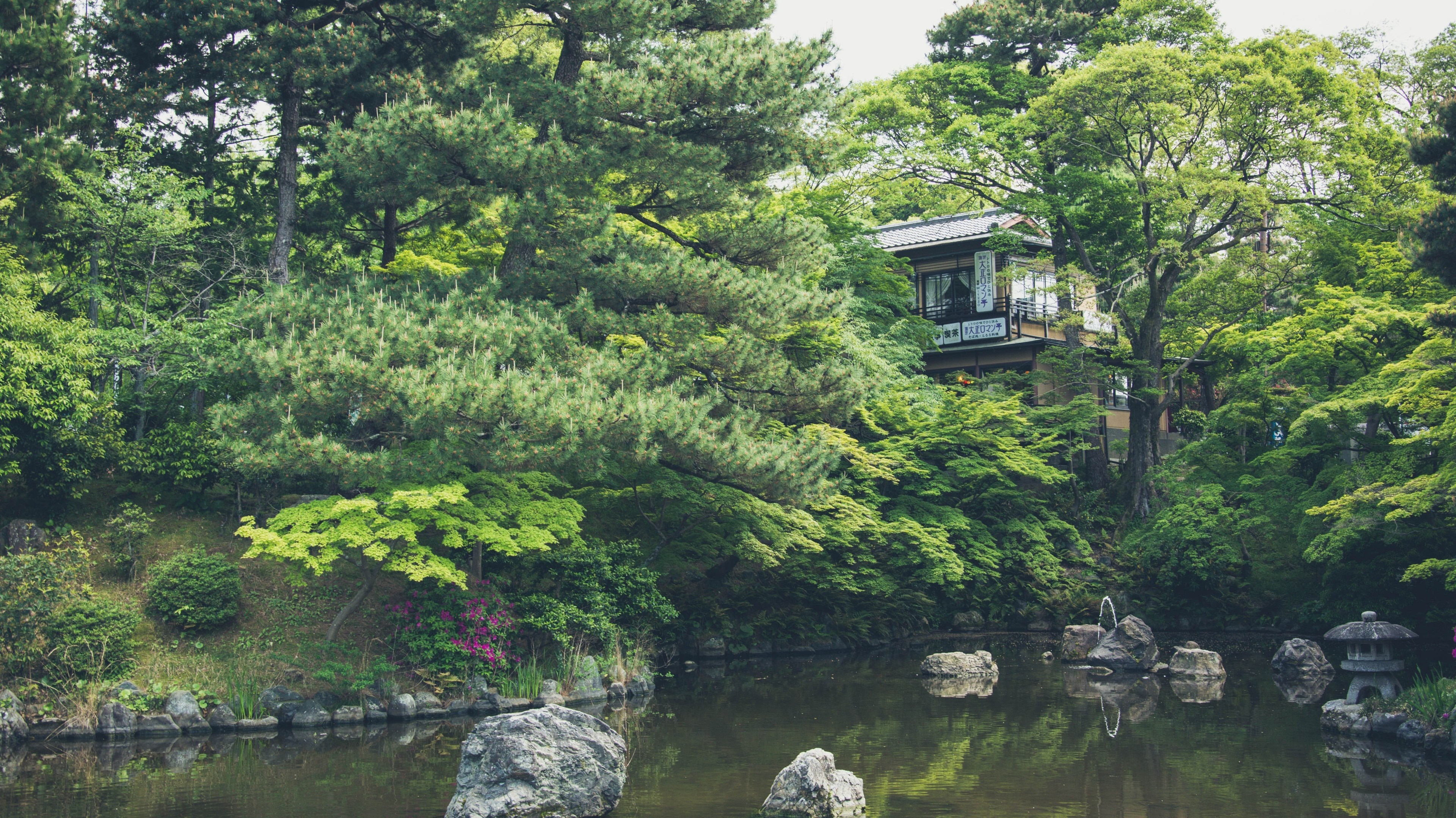 Japanese garden with pond and traditional house HD Wallpaper