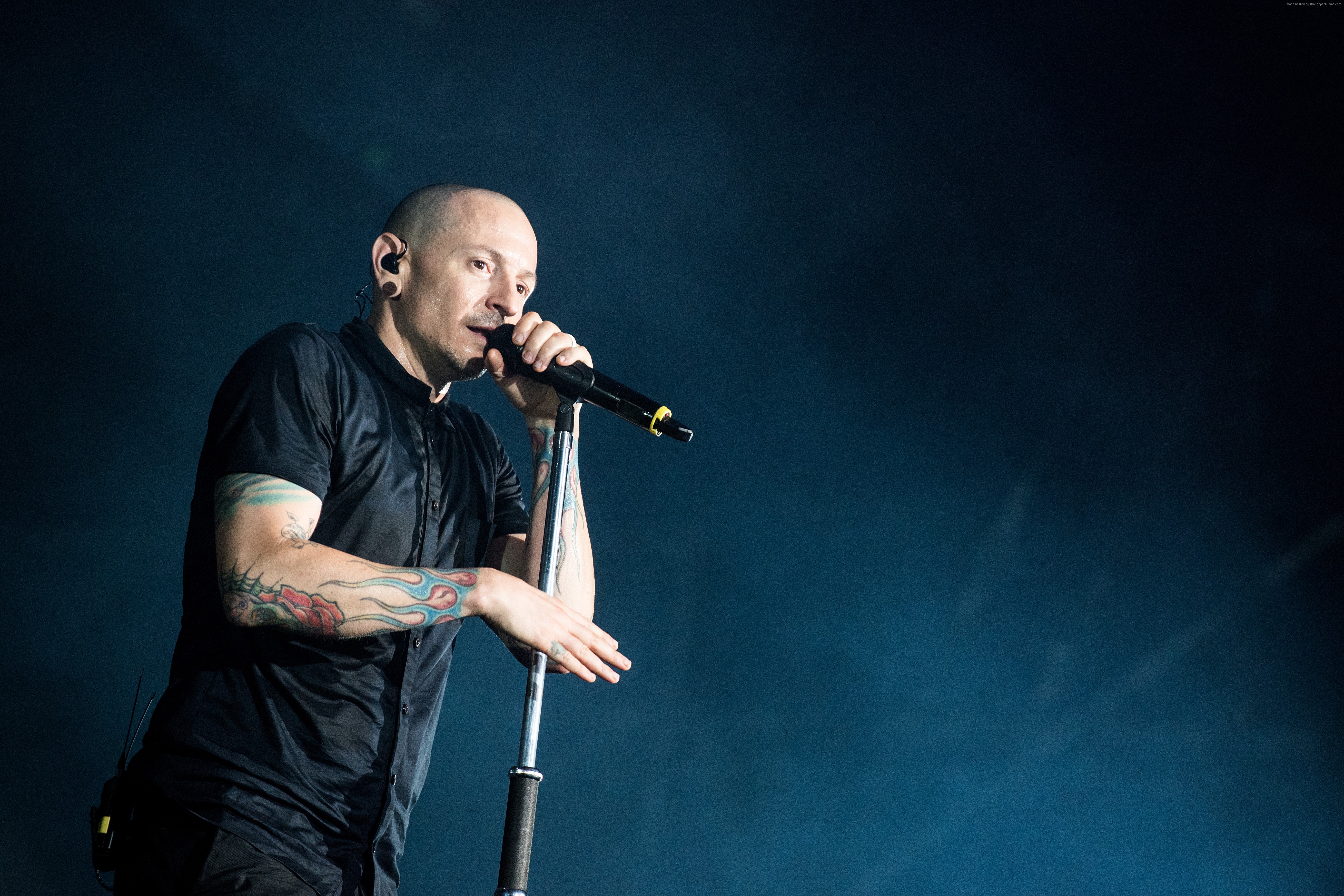Chester Bennington performing live HD Wallpaper