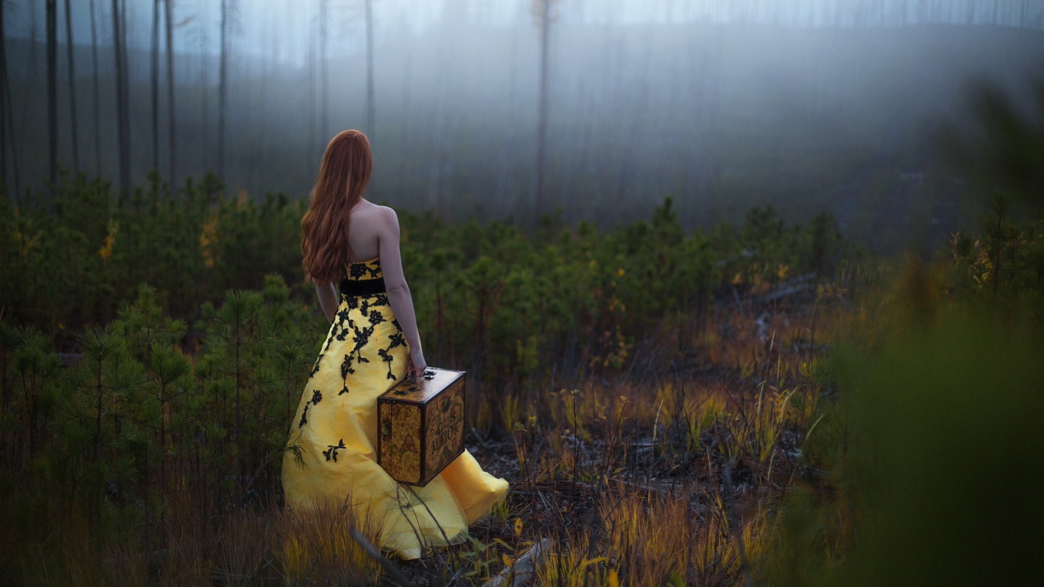 Woman in yellow dress with suitcase in foggy forest HD Wallpaper