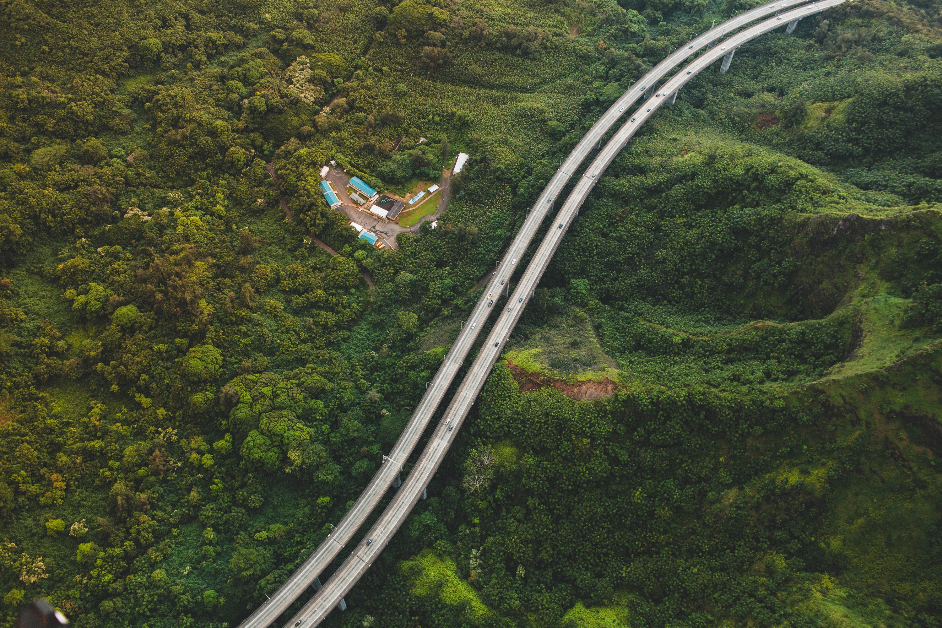 Aerial view of a highway bridge over a lush green forest HD Wallpaper