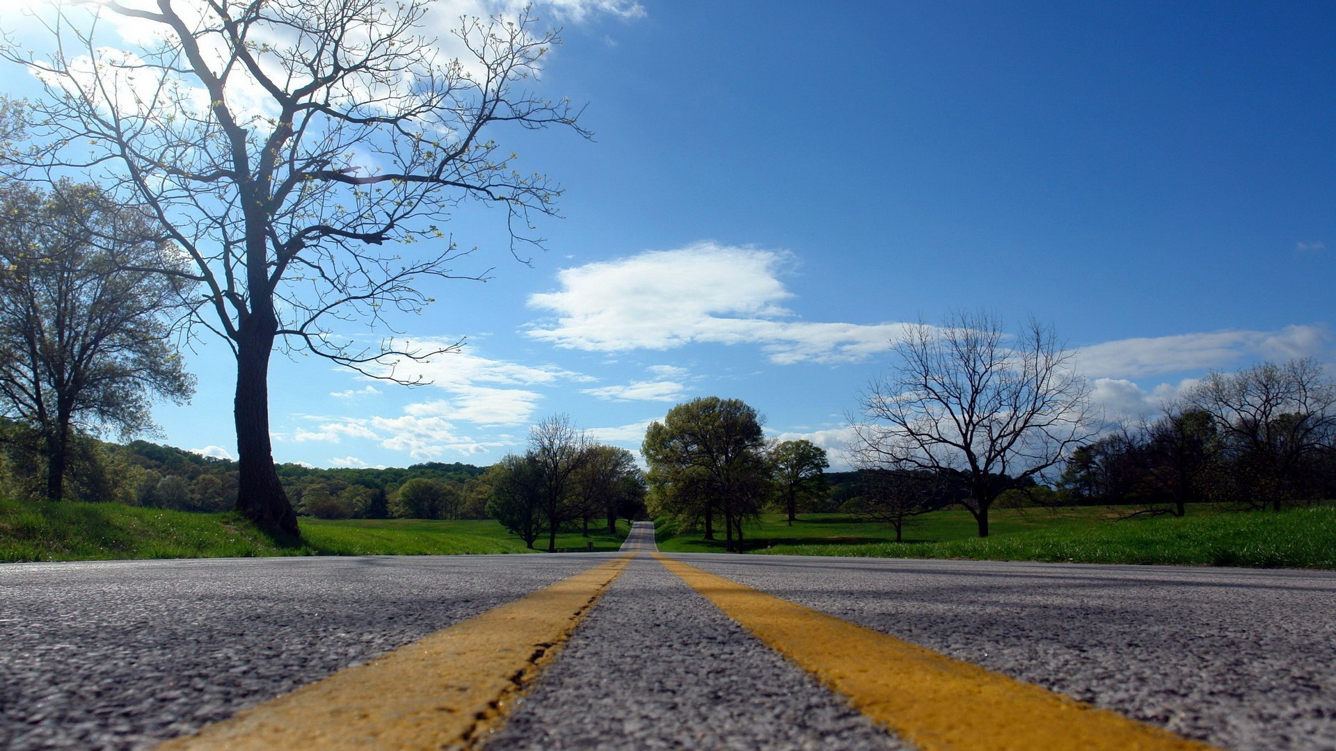 Empty Road with Yellow Lines and Trees HD Wallpaper