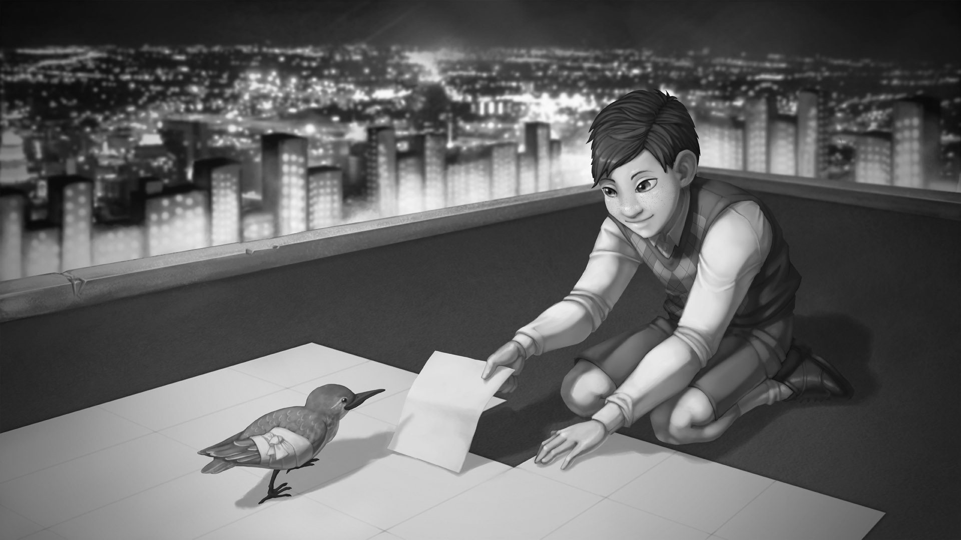 A boy and a bird on a rooftop at night HD Wallpaper