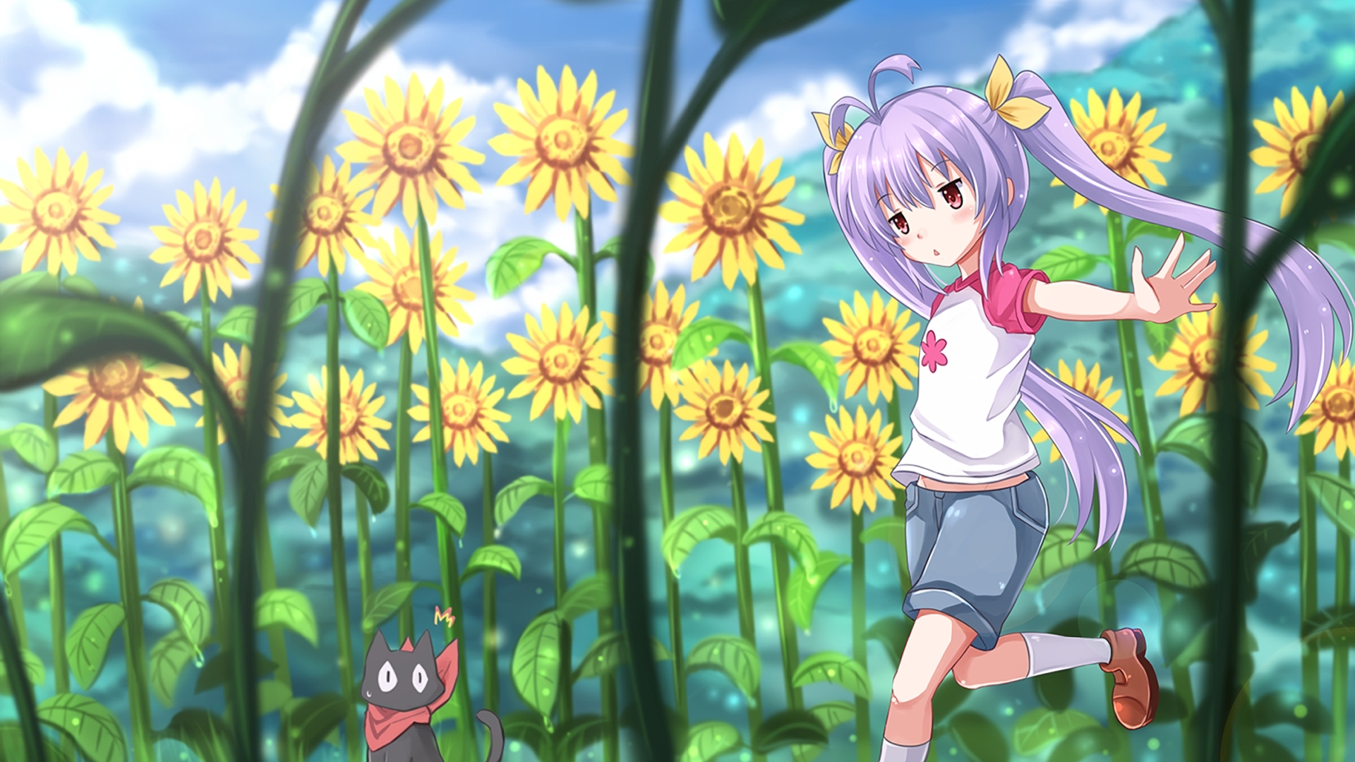 Miyauchi Renge and Sakamoto in a sunflower field HD Wallpaper