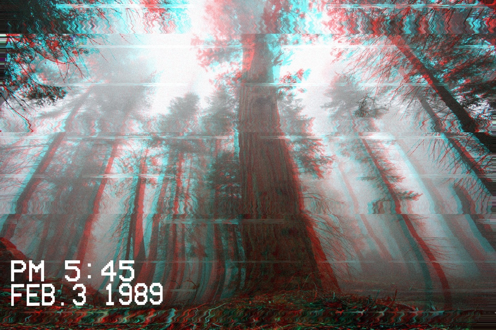 Forest with Glitch Art Effect and Timestamp HD Wallpaper