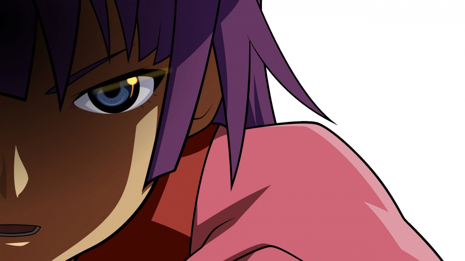 Hitagi Senjougahara from Monogatari Series HD Wallpaper