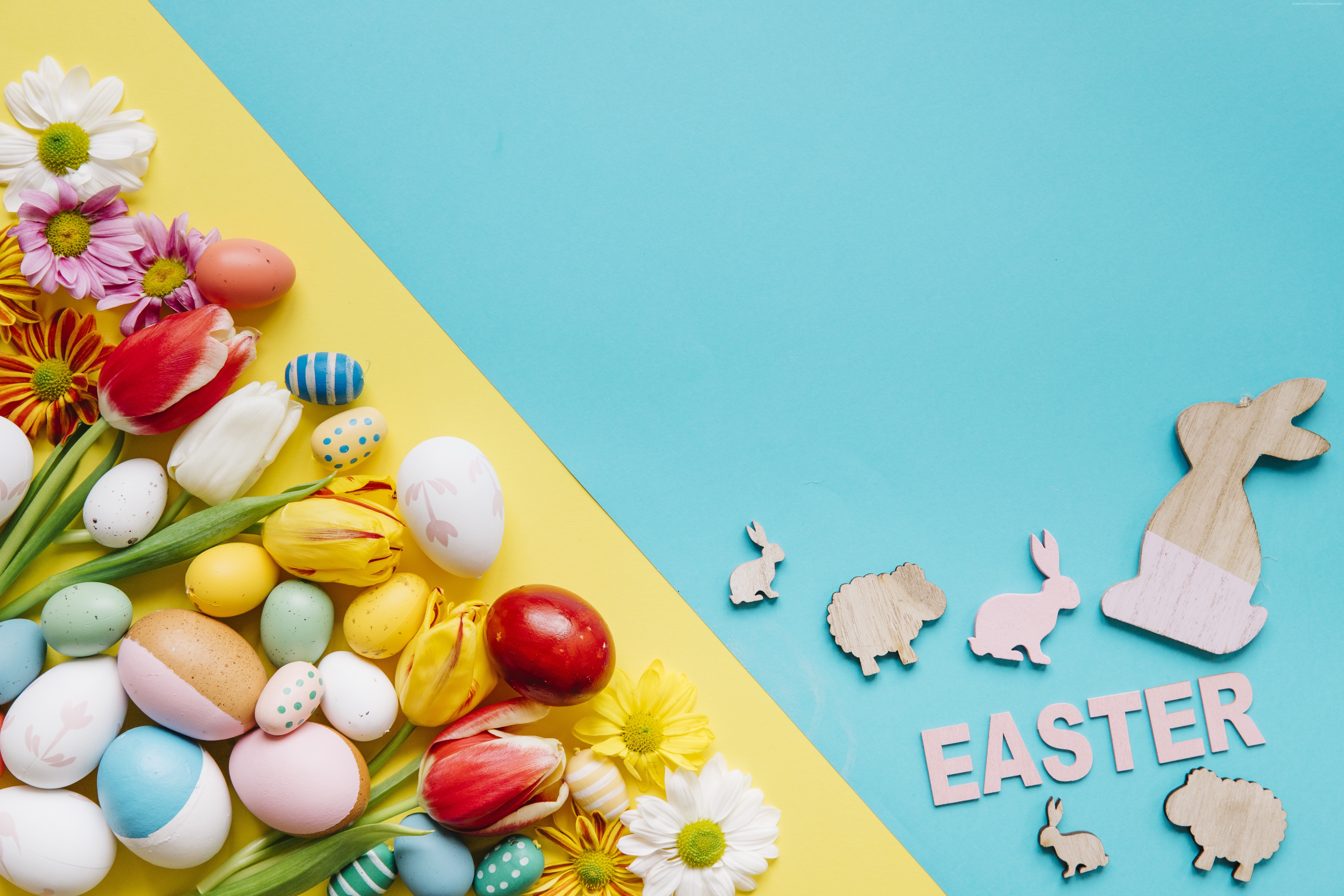 Easter eggs and flowers on yellow and blue background HD Wallpaper