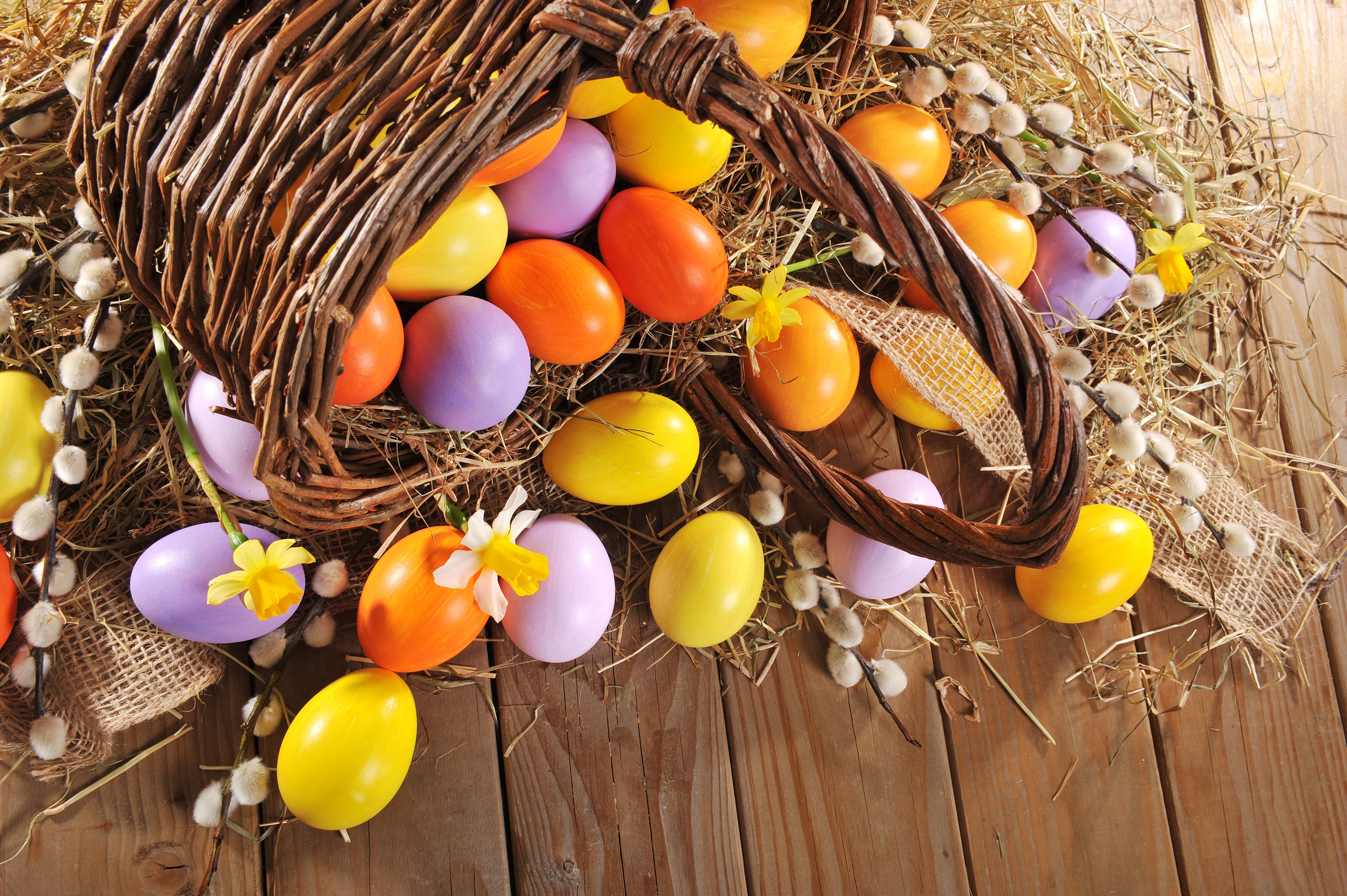 Easter eggs spilling from a basket HD Wallpaper