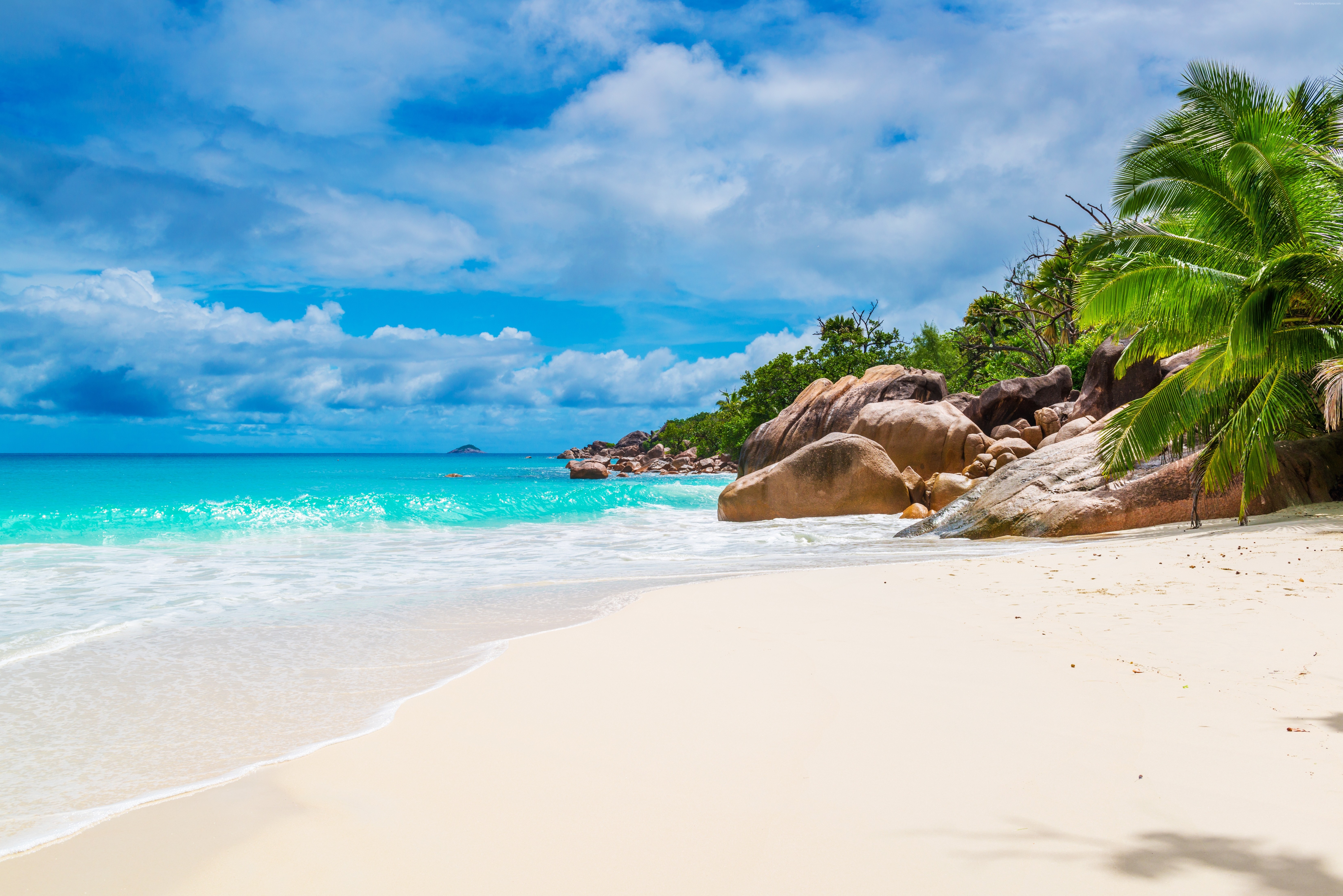 ocean, sky, coast, 5K, palm, beach, Seychelles, Maldives HD Wallpaper